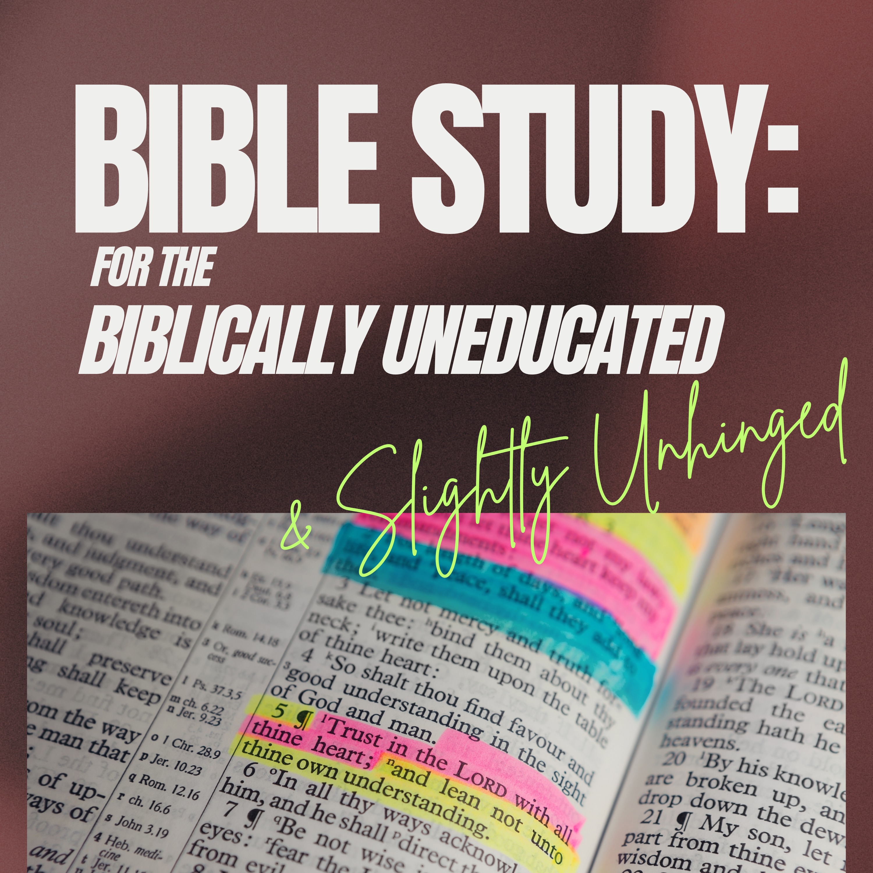 Bible Study: for the Biblically Uneducated & Slightly Unhinged podcast artwork