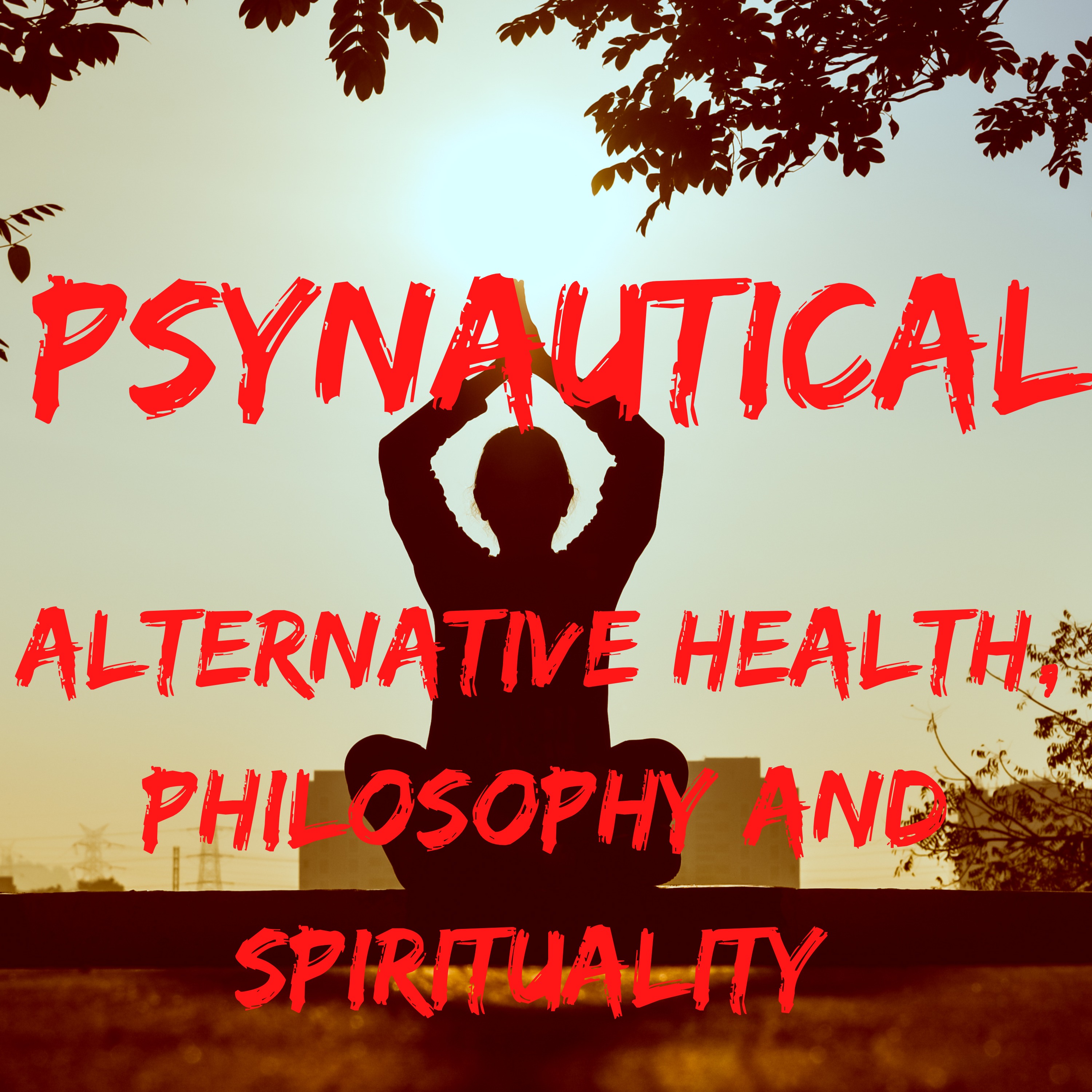 Psynautical:  Holistic Health, Spirituality, Philosophy