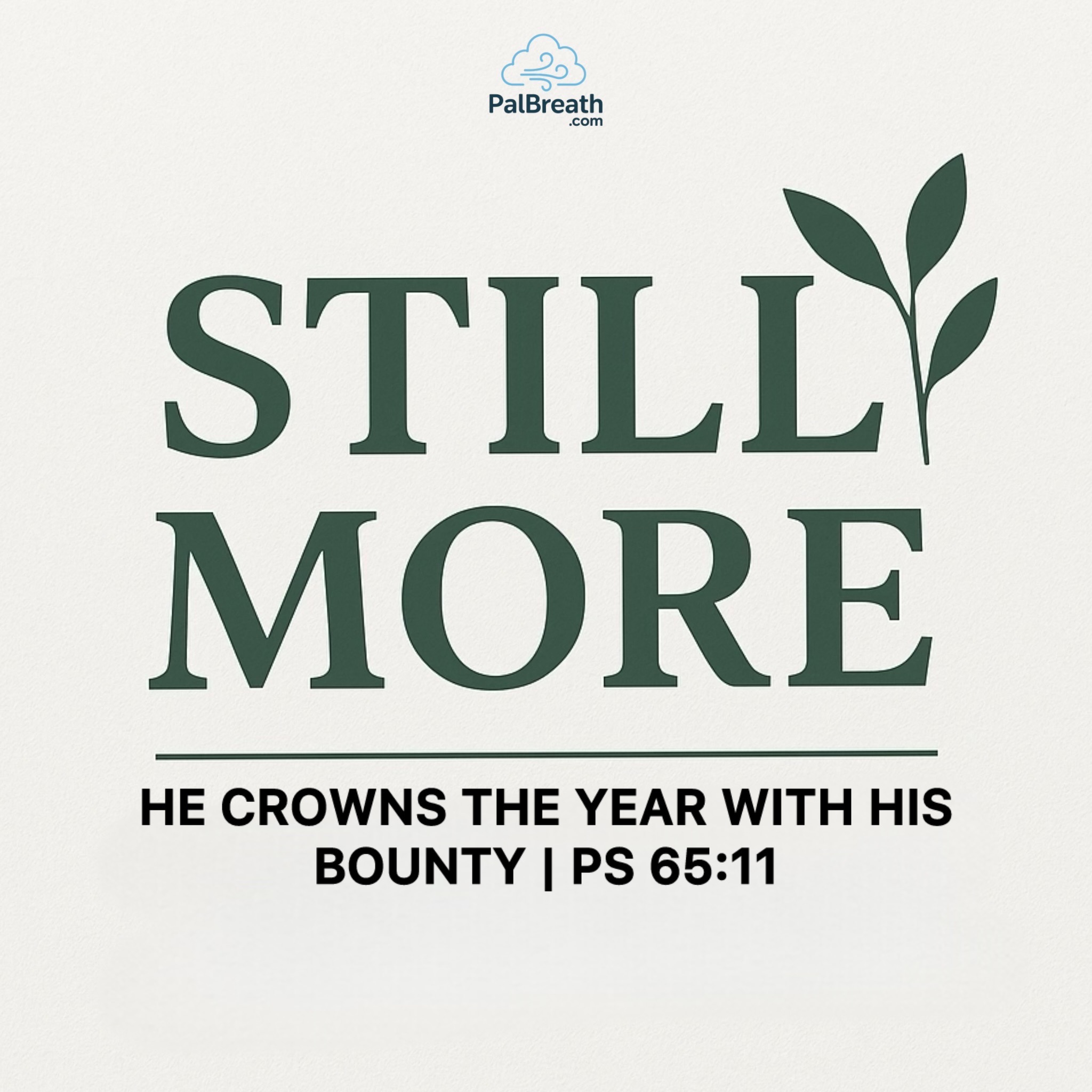 Walk the Talk with Israel