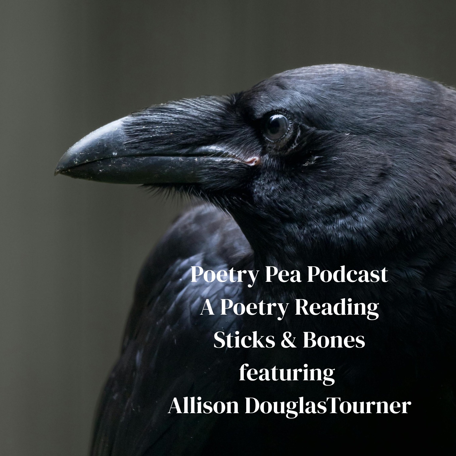 S8E45 A Poetry Reading with Canadian Poet Allison Douglas Tourner
