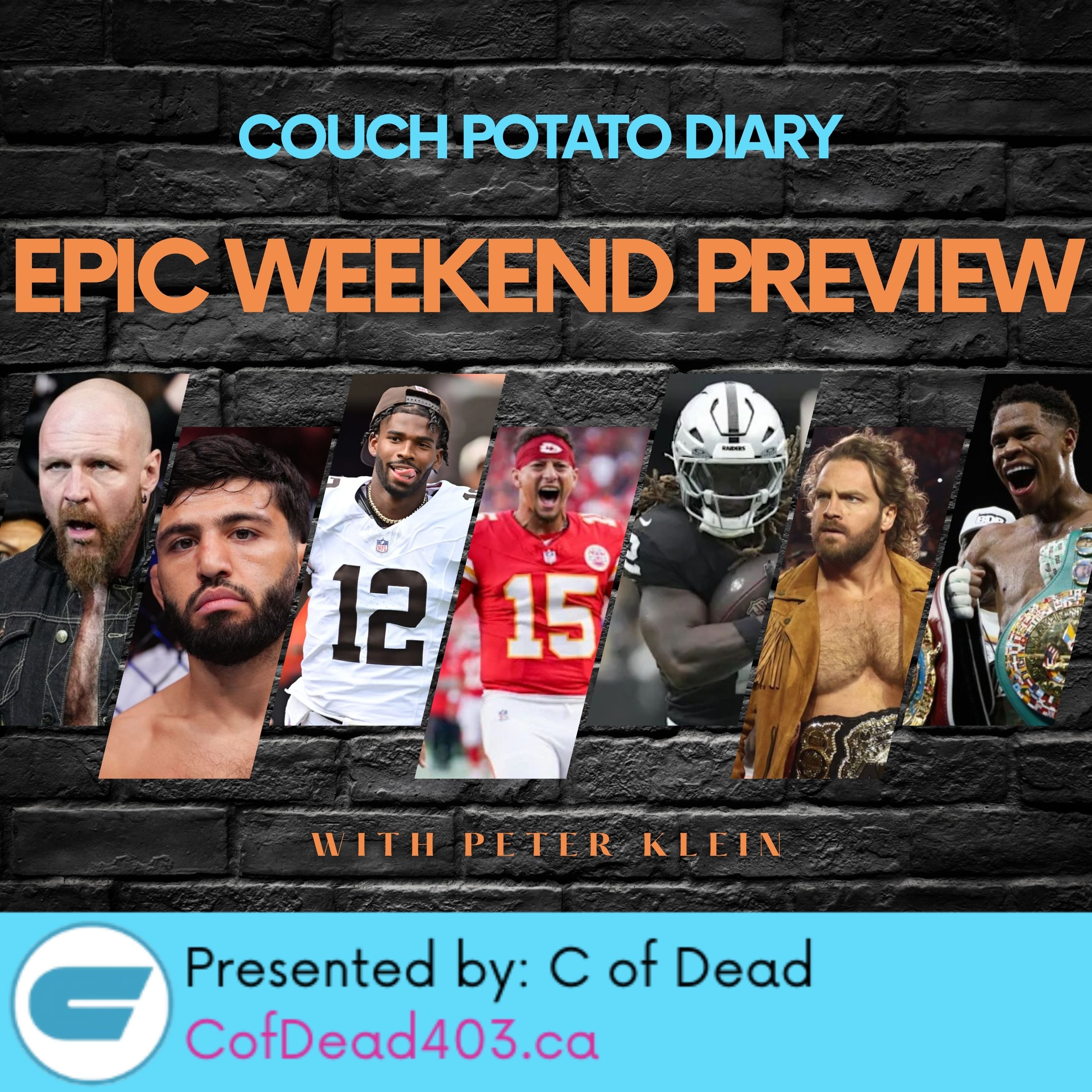Couch Potato Diary