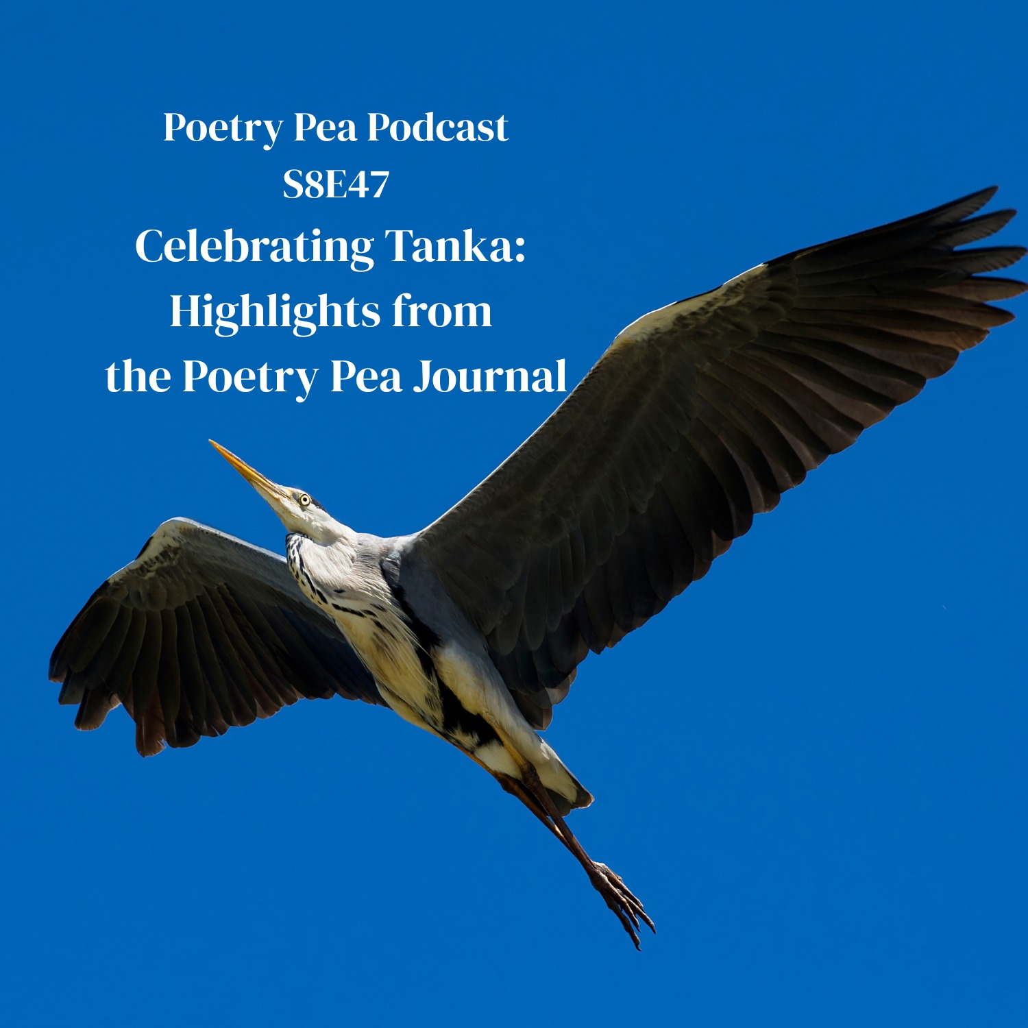 S8E47 Celebrating Tanka: Highlights from the Poetry Pea Journal S8E47 Celebrating Tanka: Highlights from the Poetry Pea Journal