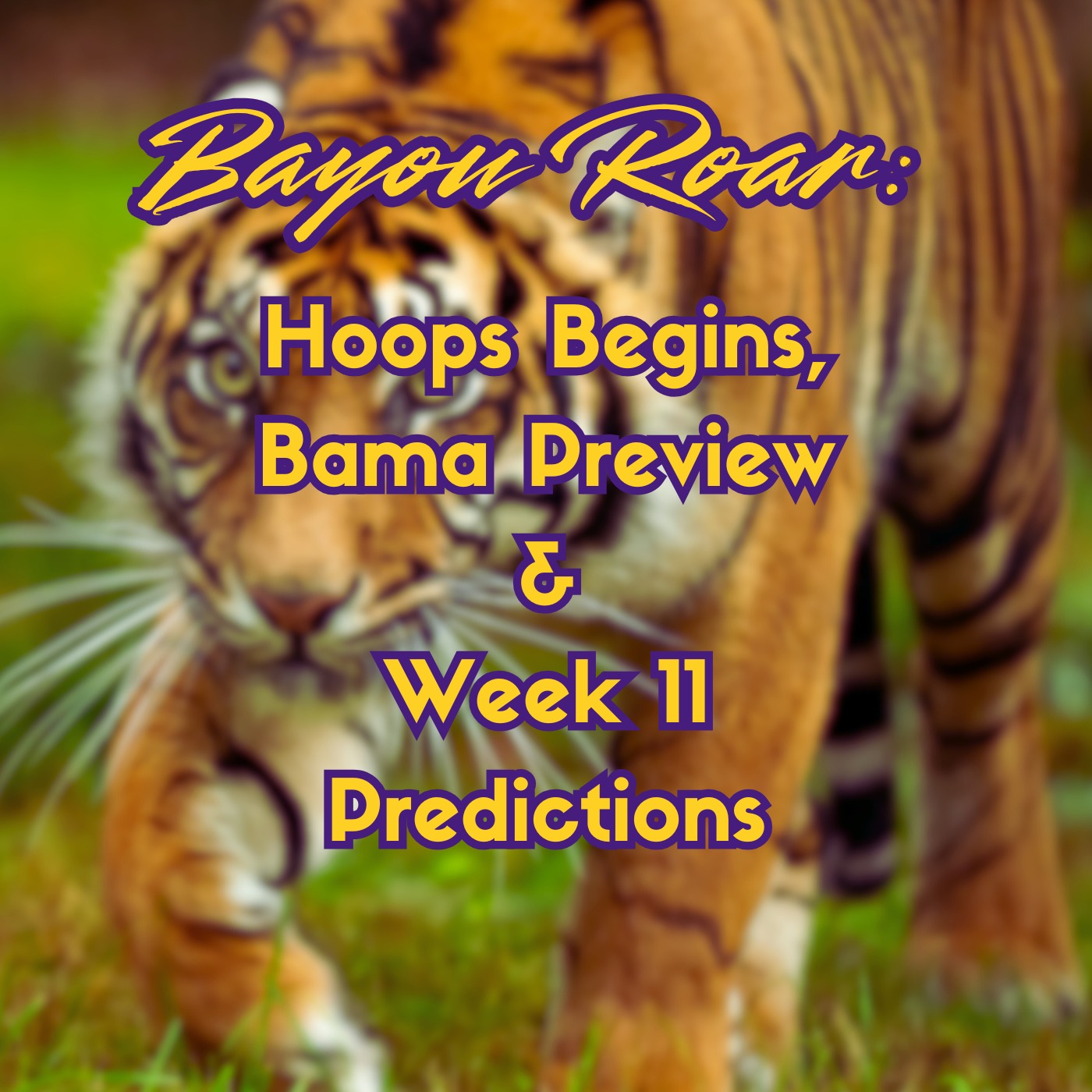 Hoops Begins, Bama Preview, & Week 11 Predictions episode artwork