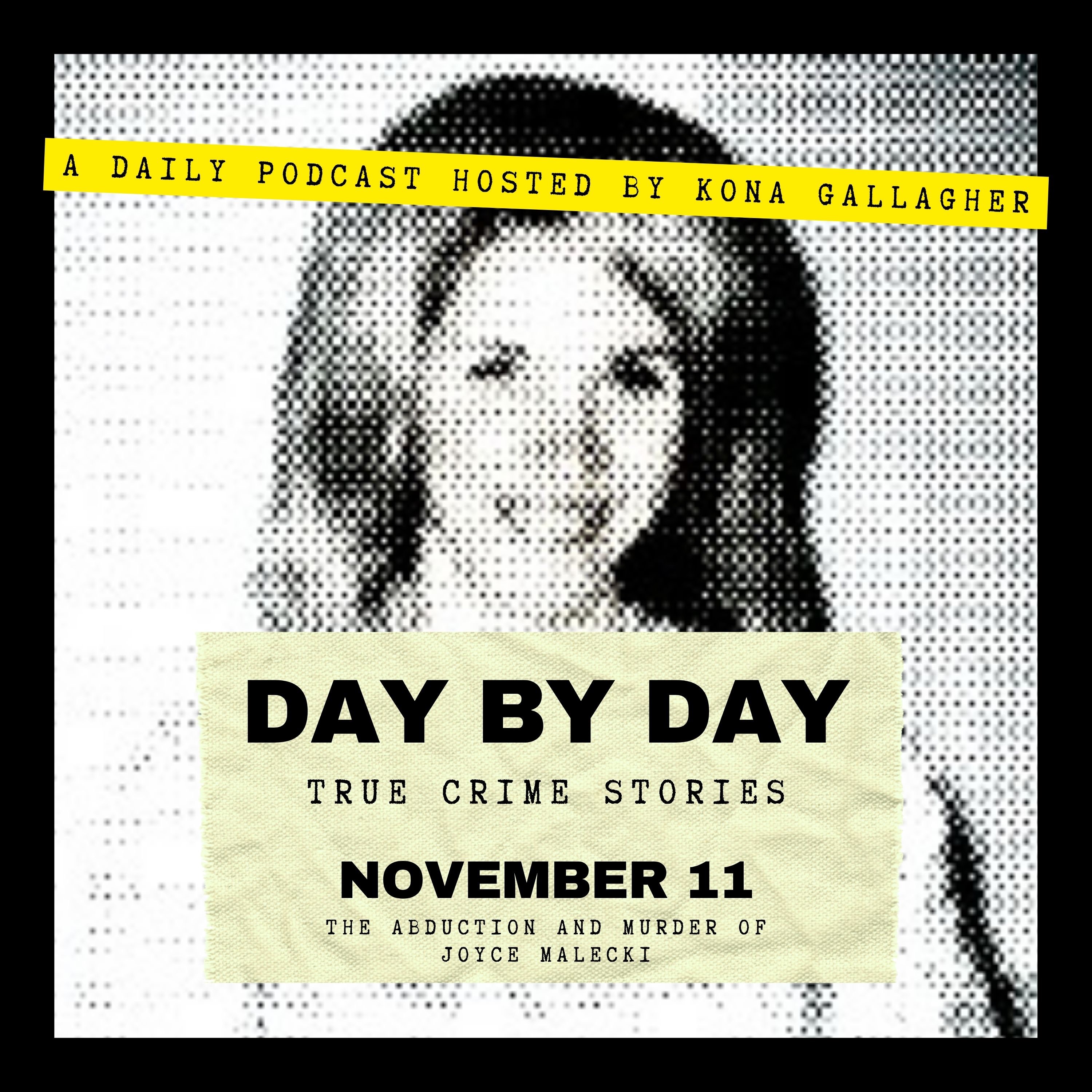 November 11 — The Abduction and Murder of Joyce Malecki