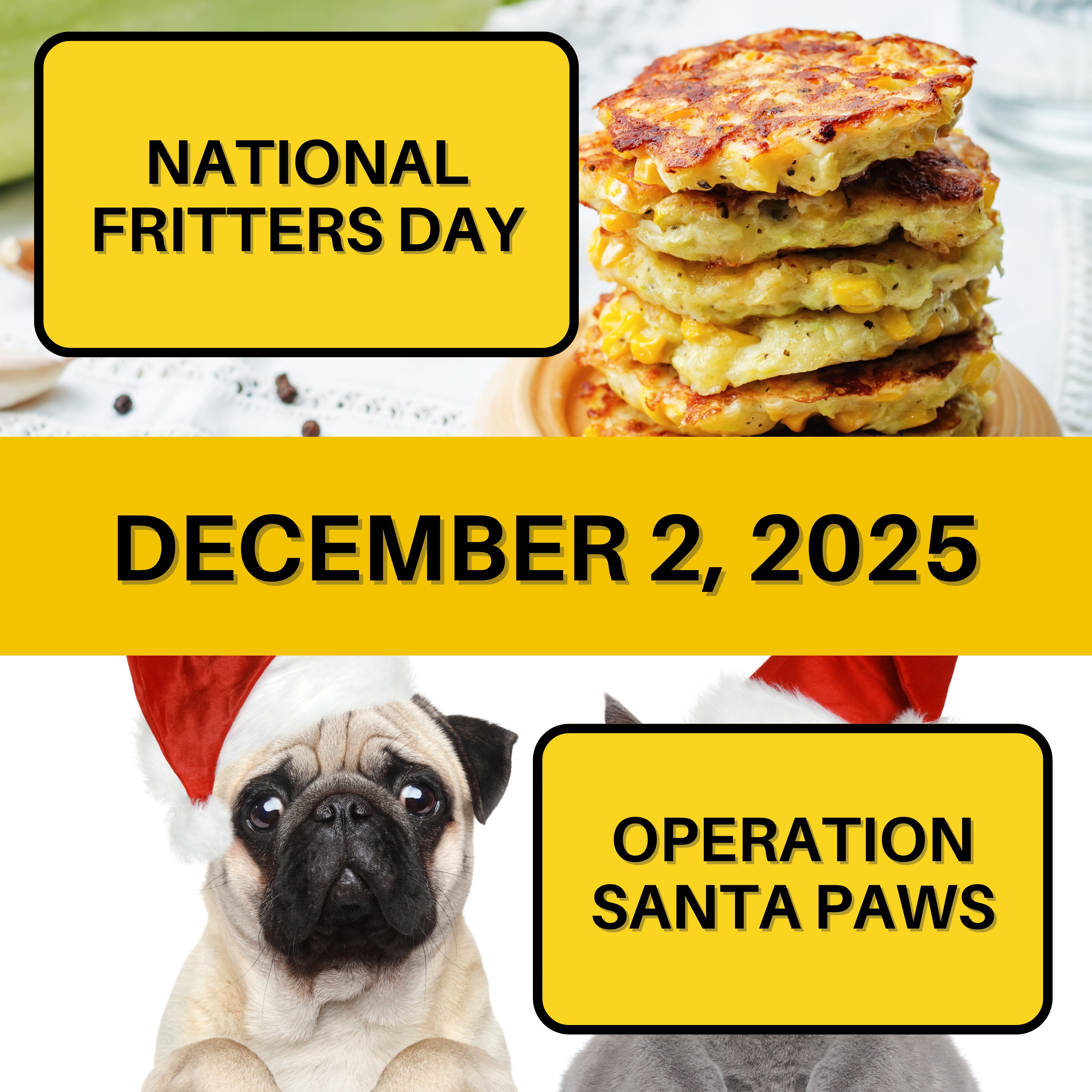 National Fritters Day & Operation Santa Paws