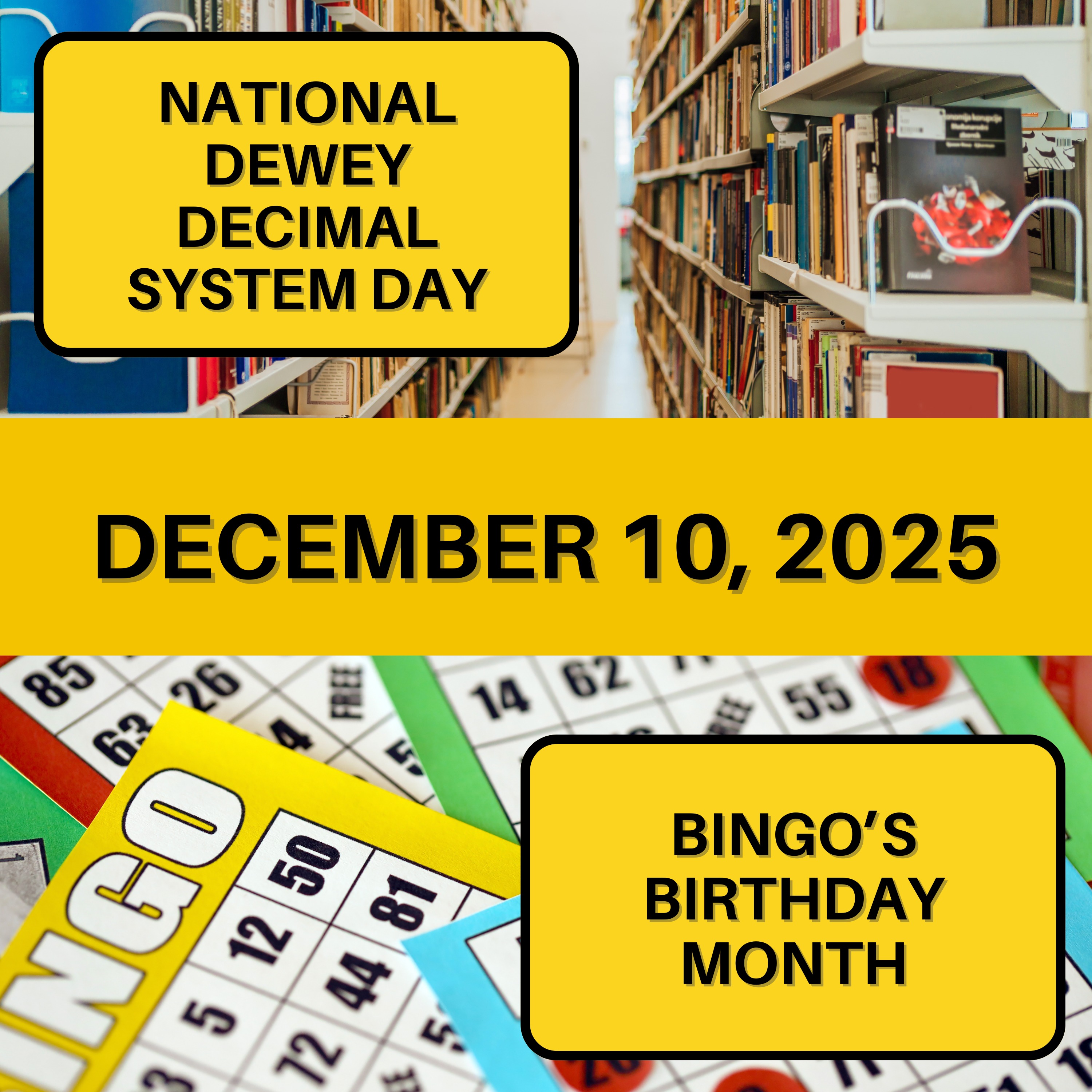 Dewey Decimal System Day & Bingo's Birthday Month