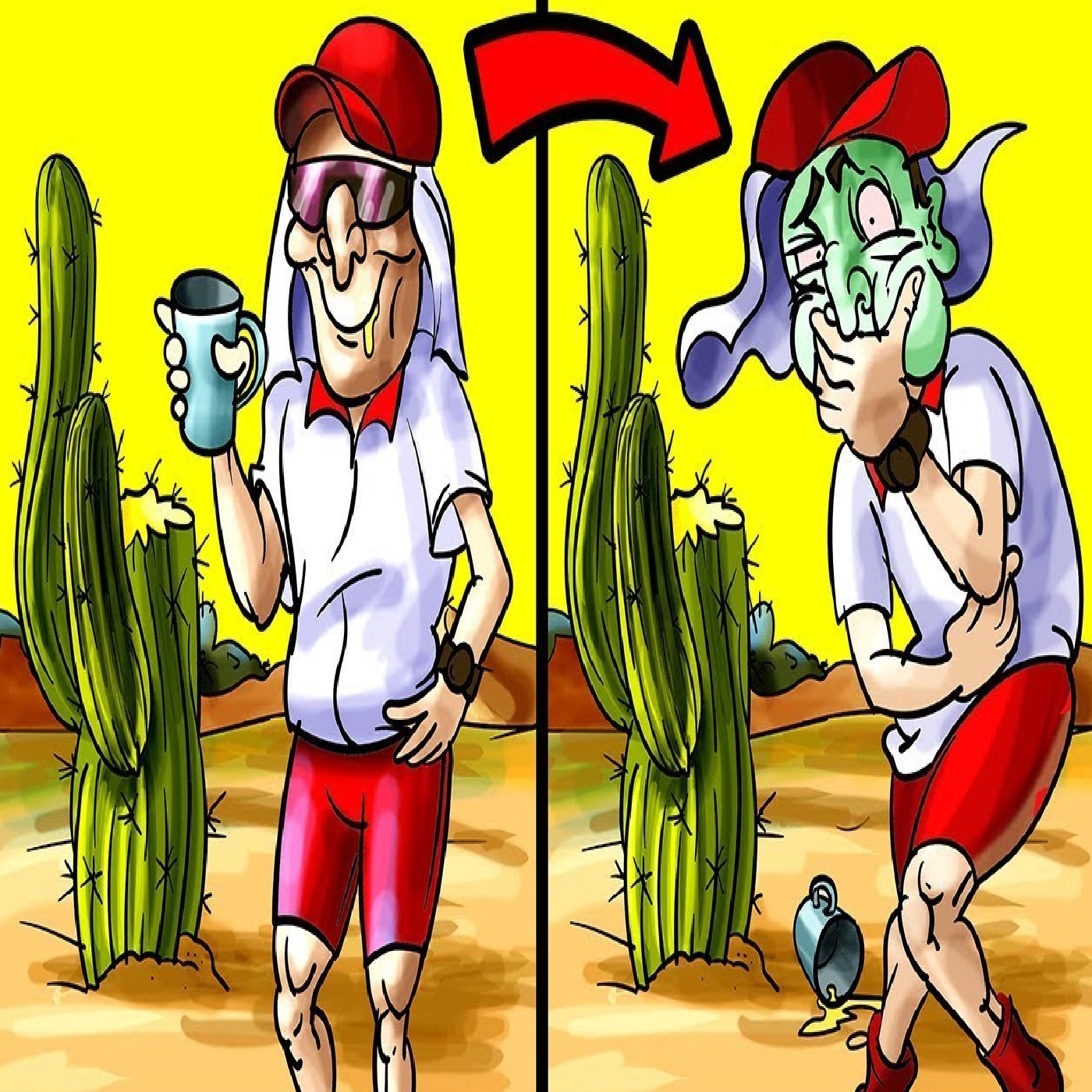 Survival Myths That Could Get You Killed