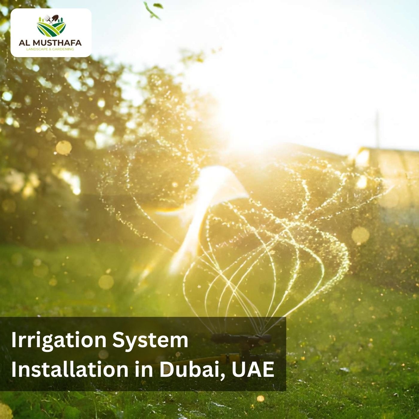 Irrigation System in Dubai, UAE: Water Smarter, Not Harder episode artwork