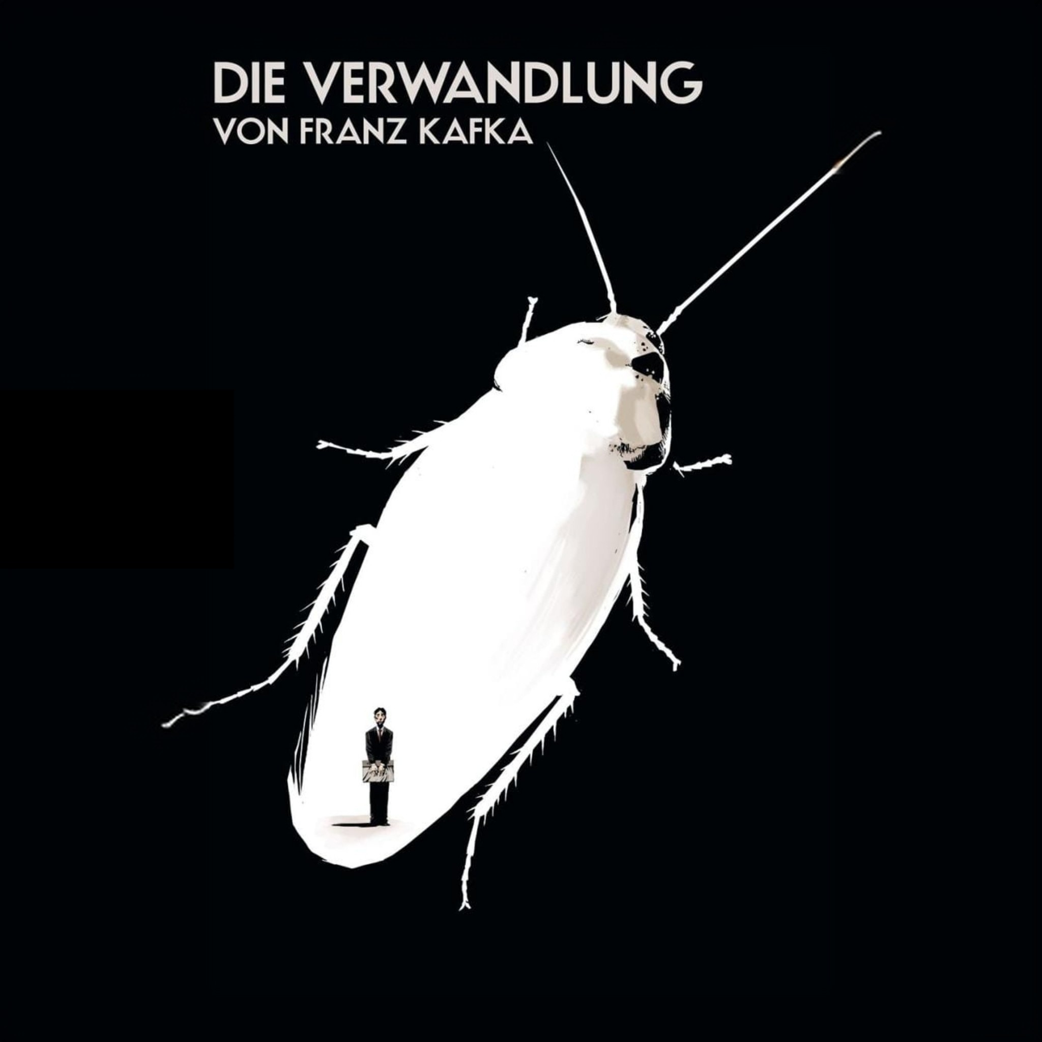Audio Player Image