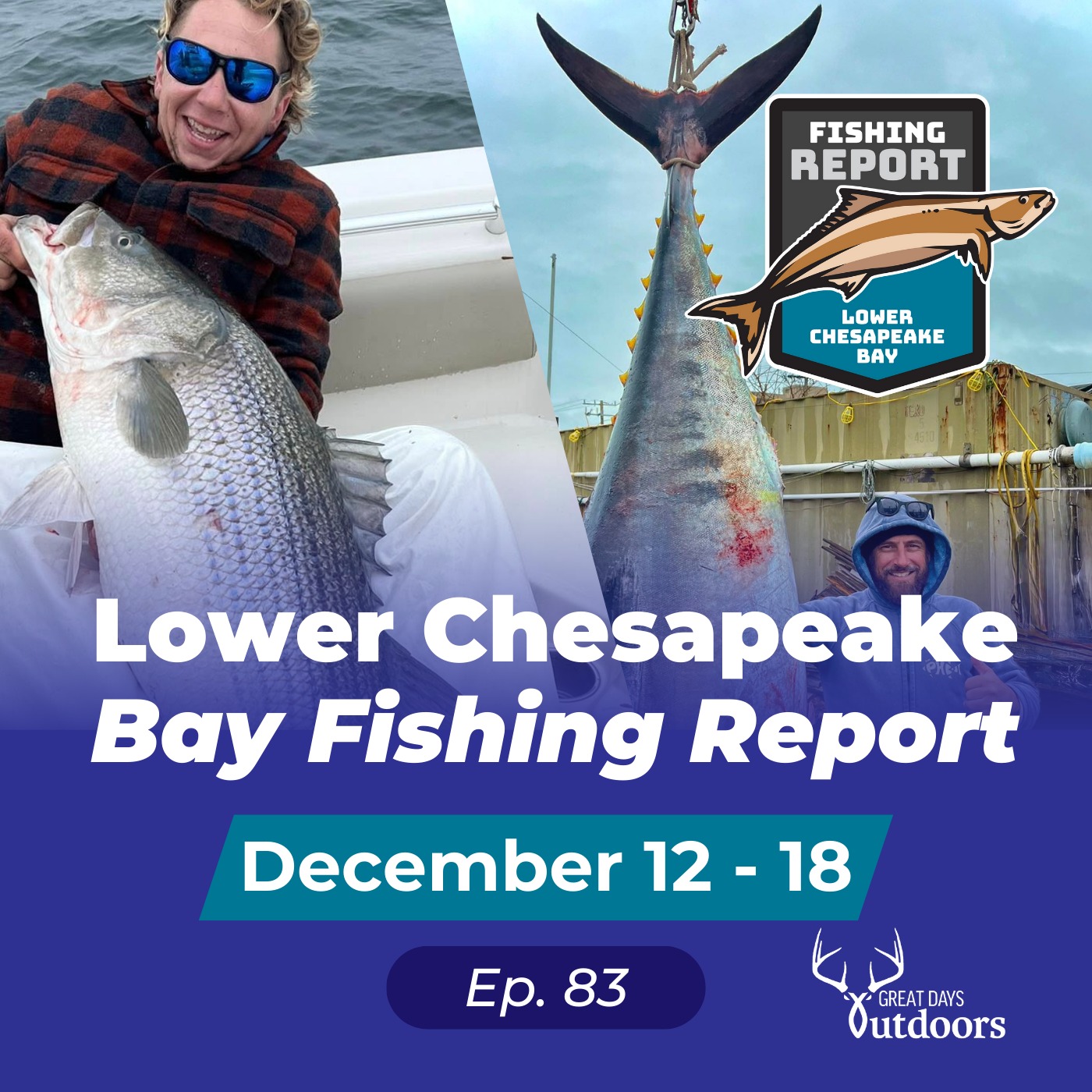 Lower Chesapeake Bay Fishing Report