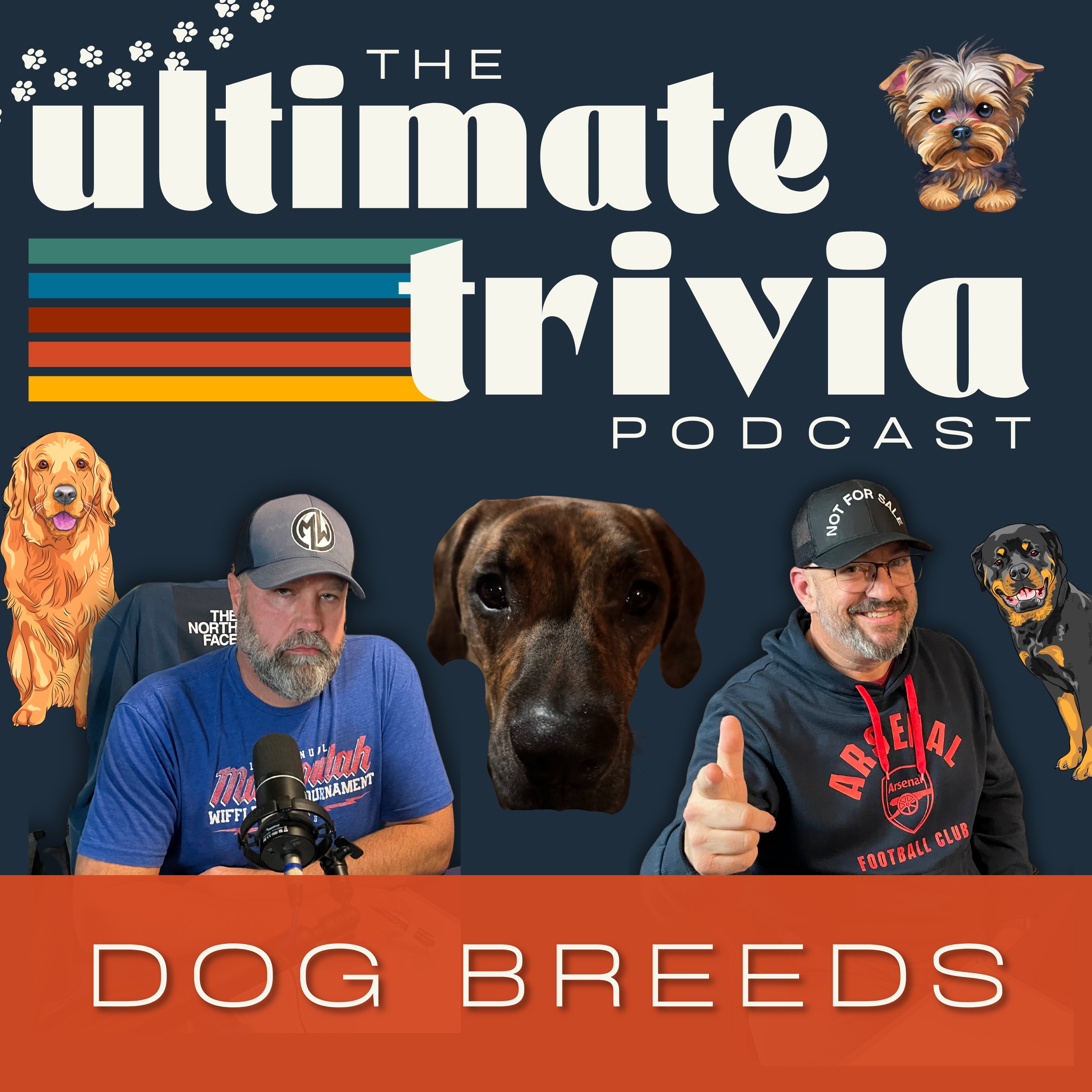 Dog Breeds Trivia I