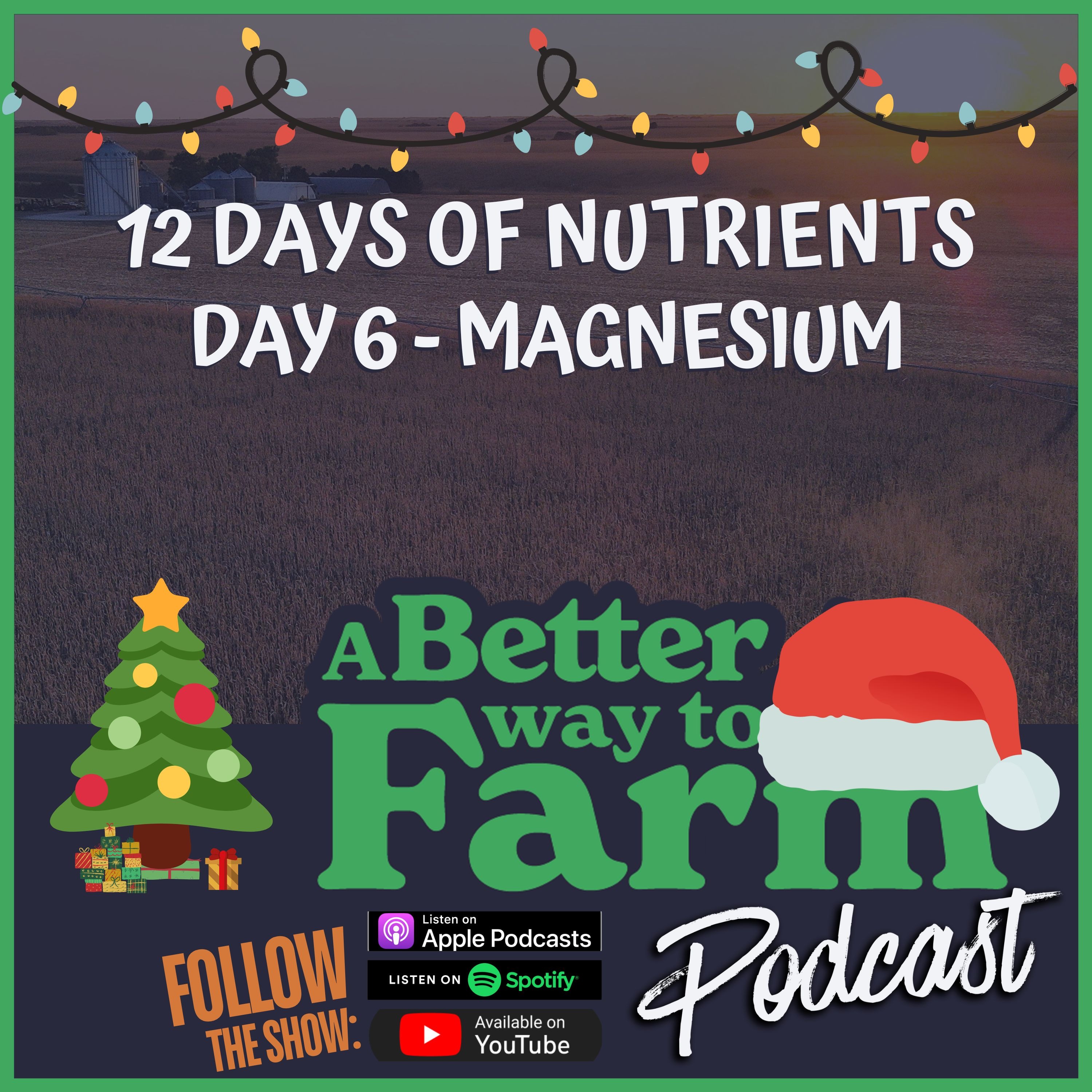 12 Days of Nutrients - Day 6: Magnesium