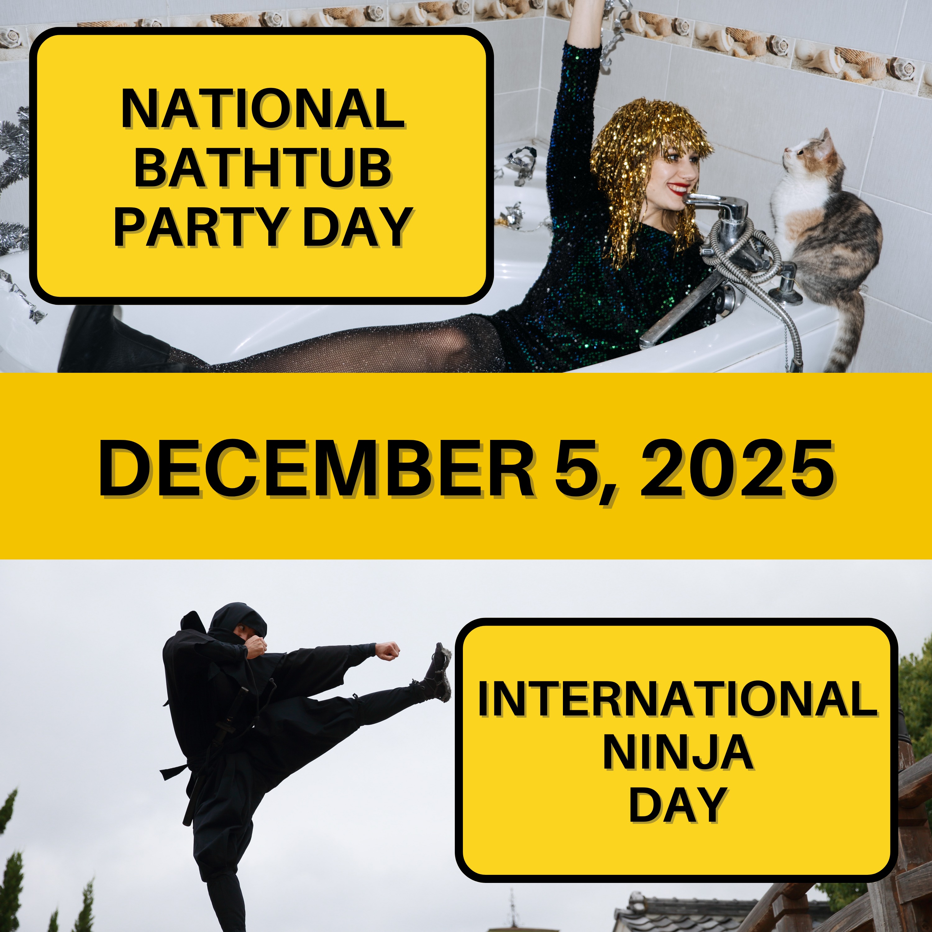 National Bathtub Party Day & International Ninja Day