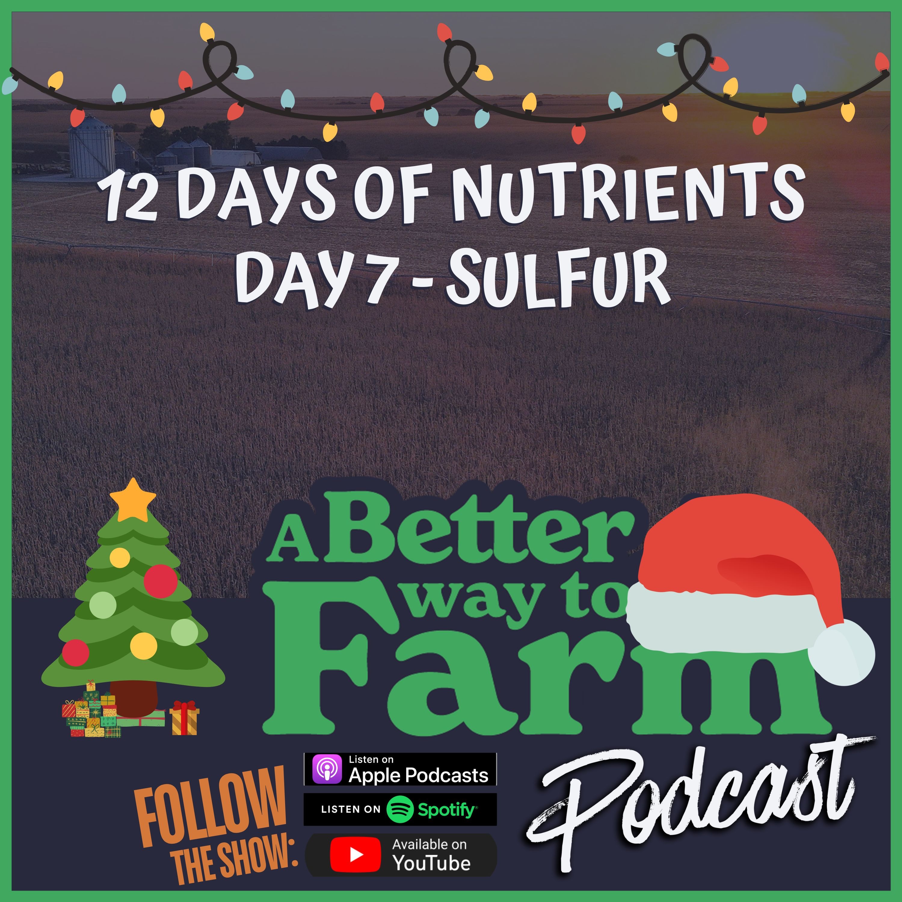12 Days of Nutrients - Day 7: Sulfur