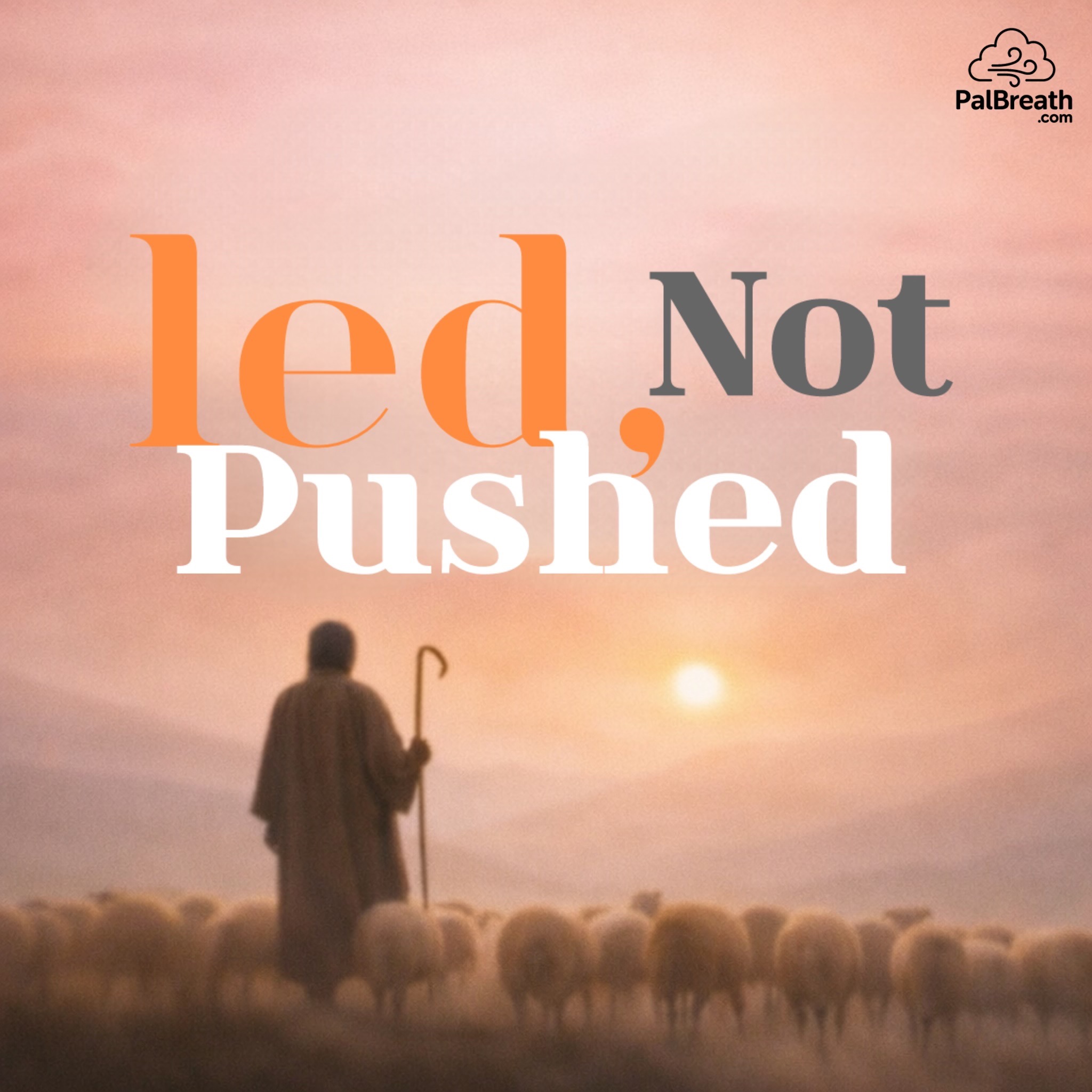 Walk the Talk with Israel