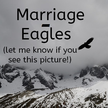 Family. Who Sets the Rules? And some Cool Animals including the Eagle!