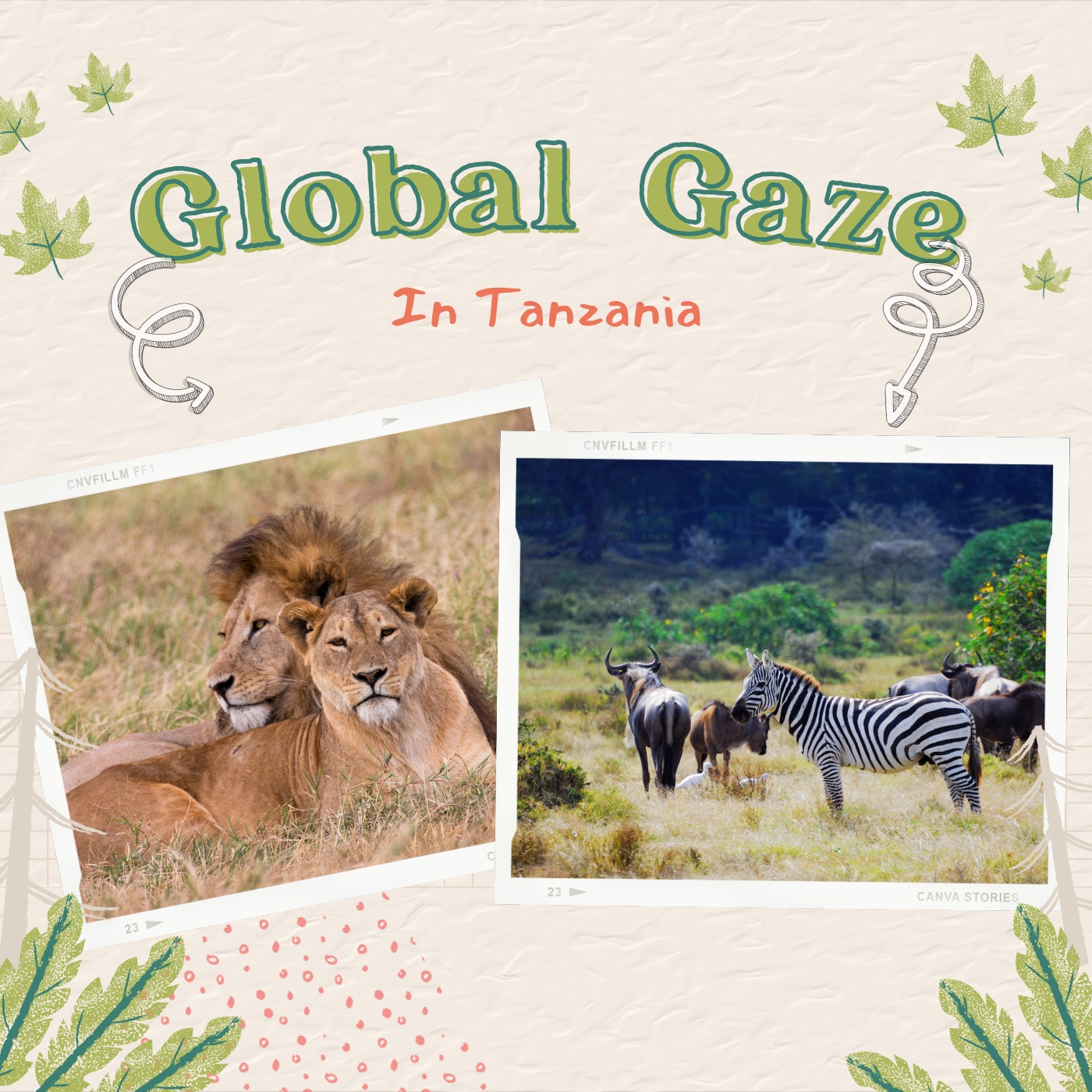 Global Gaze