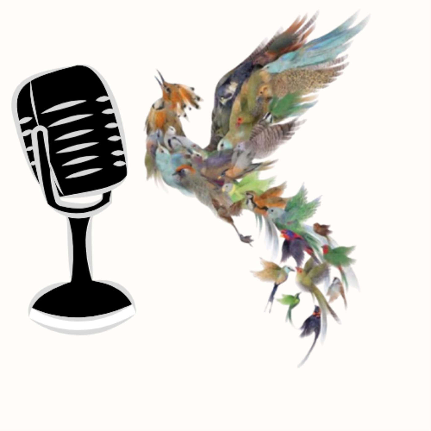 Audio Player Image