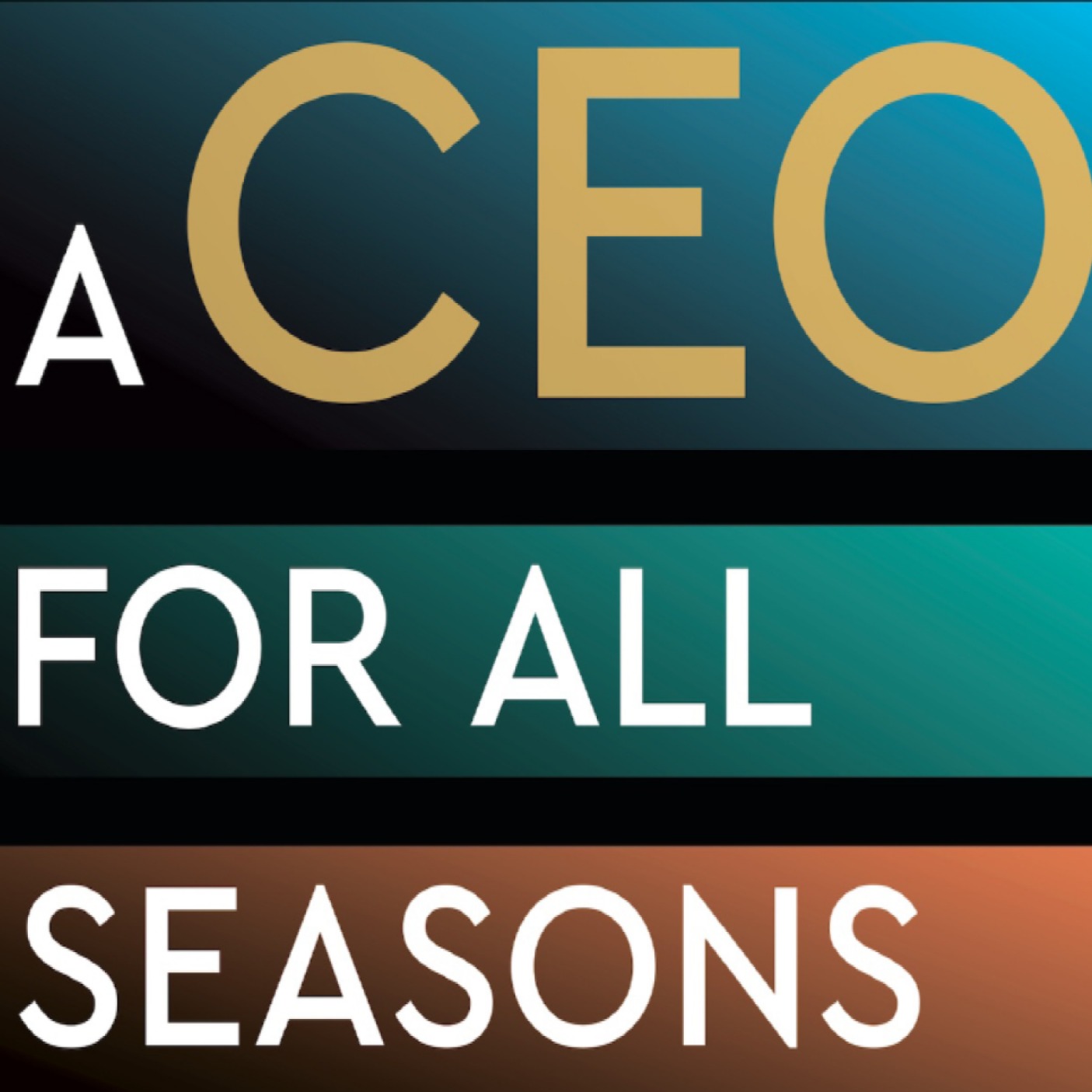 A CEO for All Seasons (PT) episode artwork