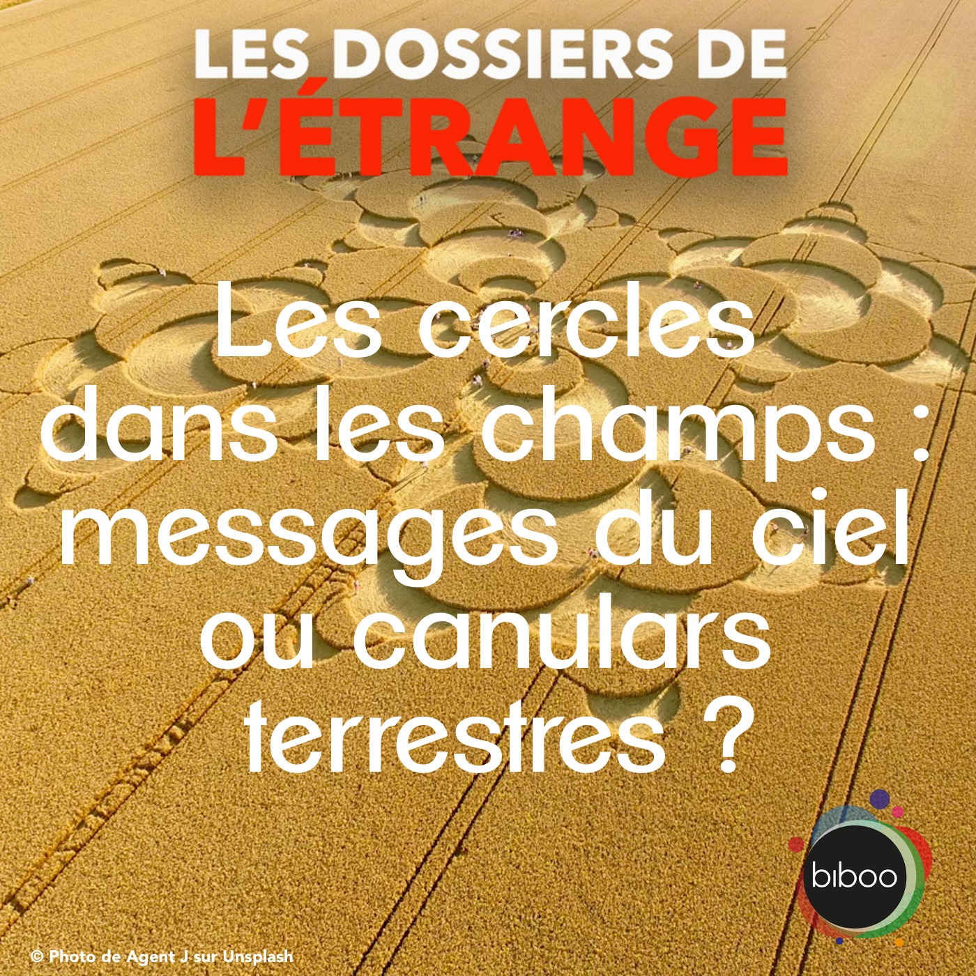 Les cercles dans les champs : Messages du ciel ou canulars terrestres ?