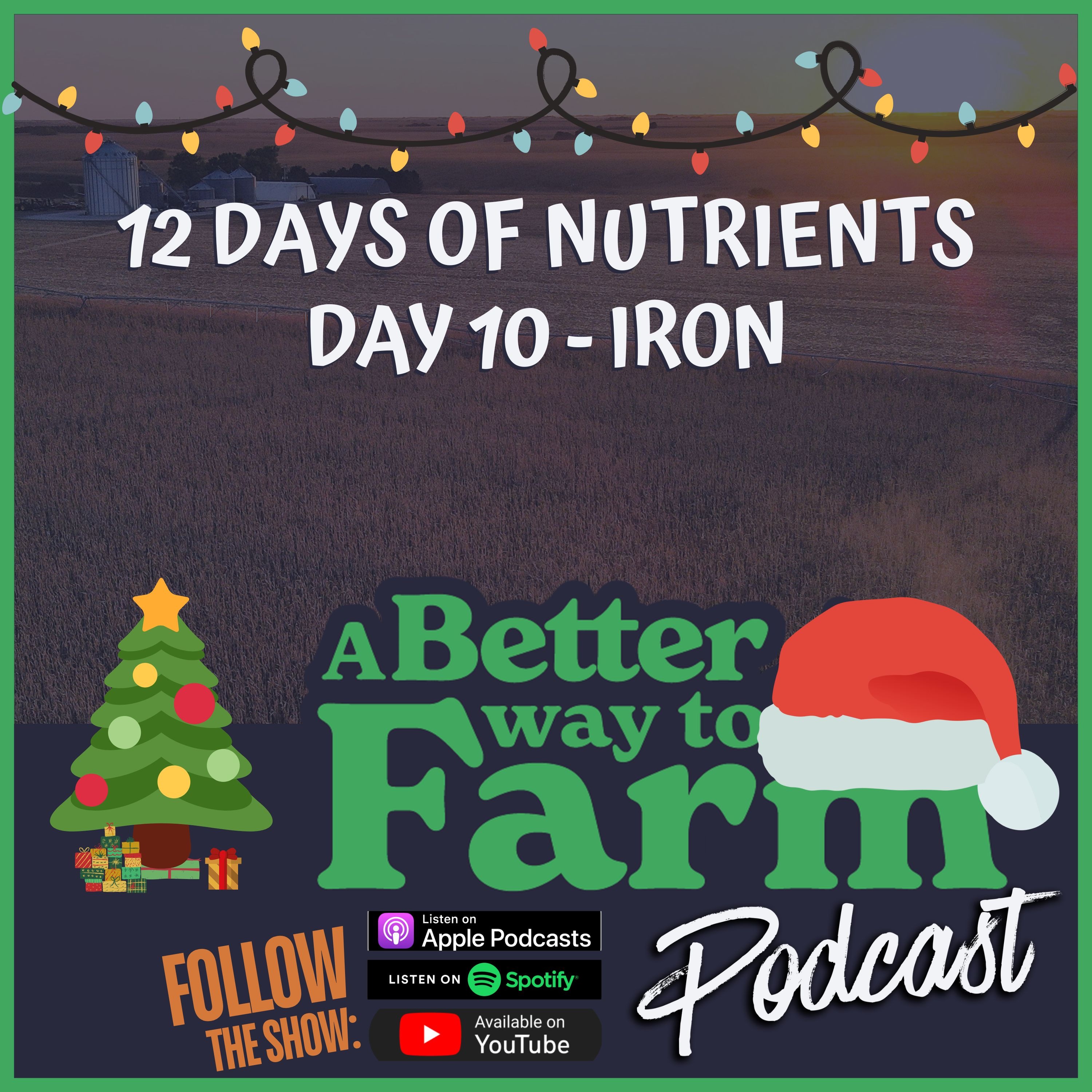 12 Days of Nutrients - Day 10: Iron