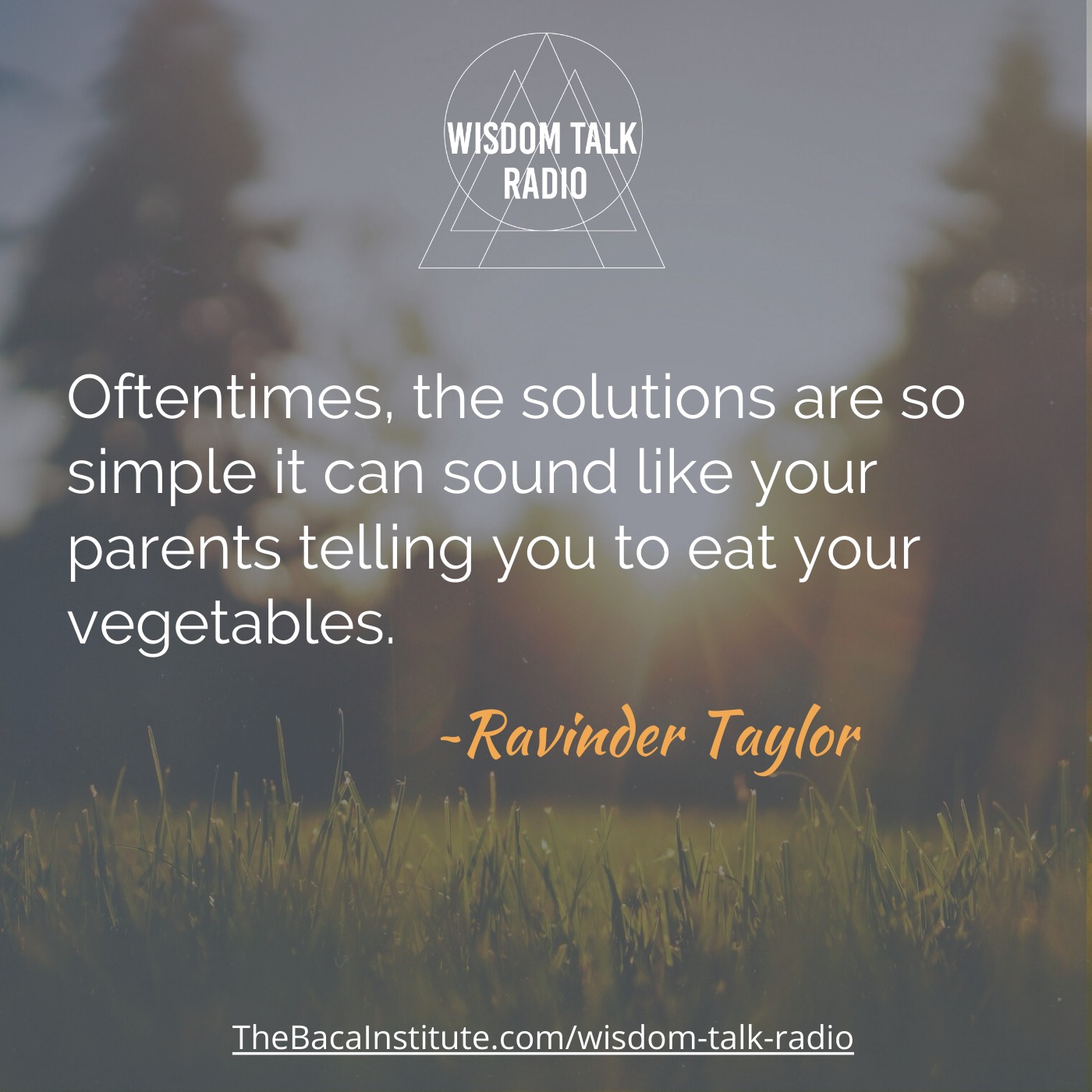 Mind Training: a Conversation with Ravinder Taylor