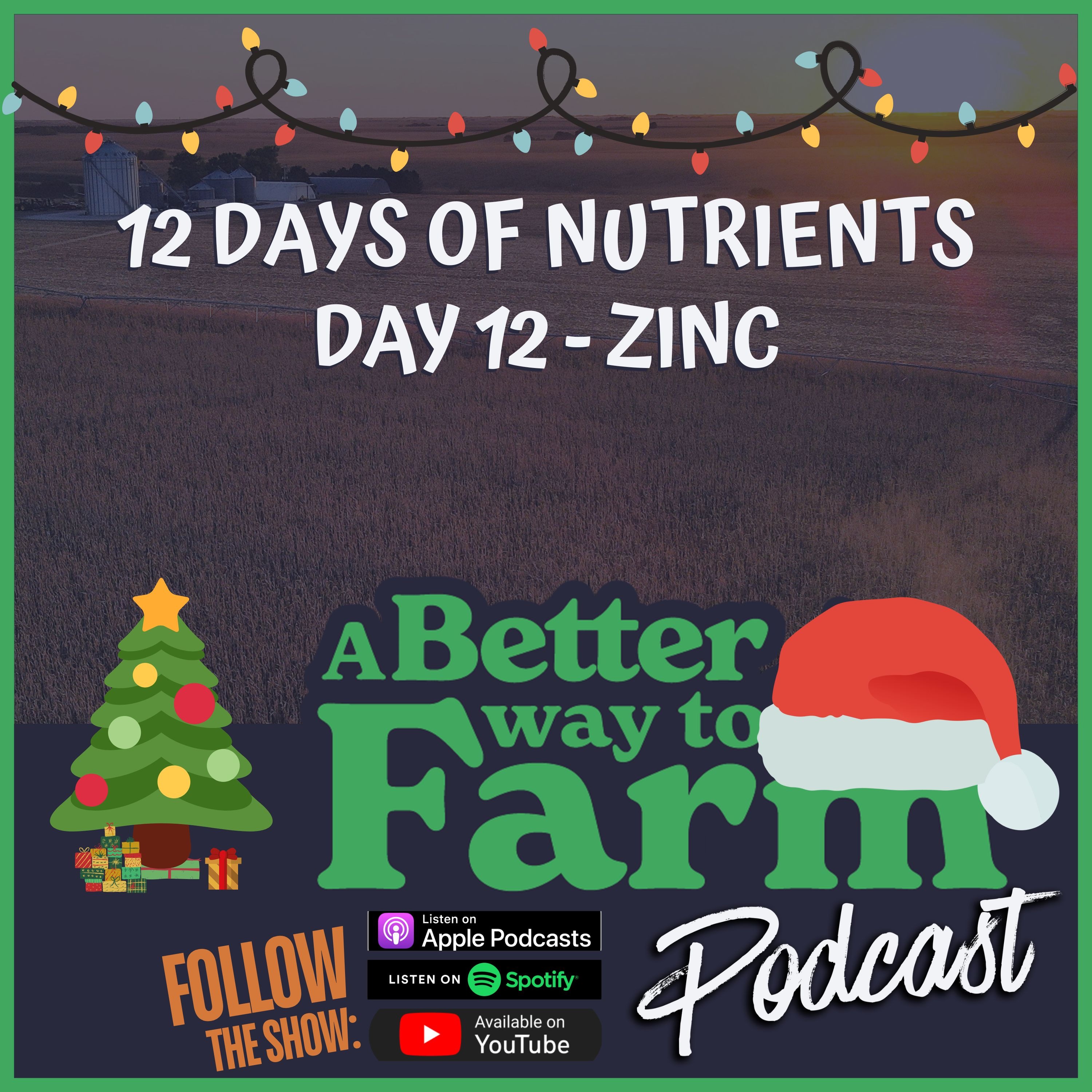12 Days of Nutrients - Day 12: Zinc