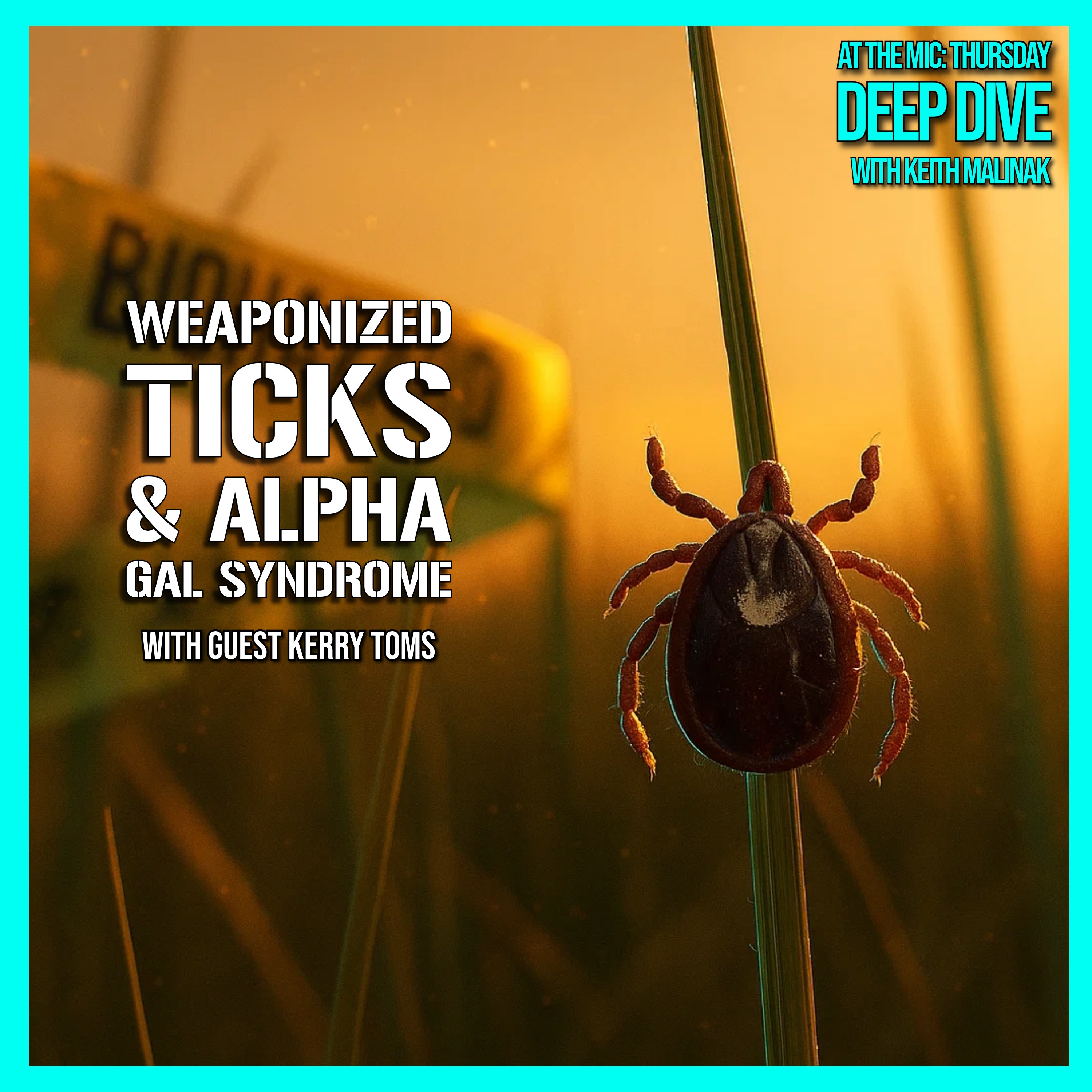 Alpha-Gal, The Meat Allergy That Starts With One Tick  |  12/5/25
