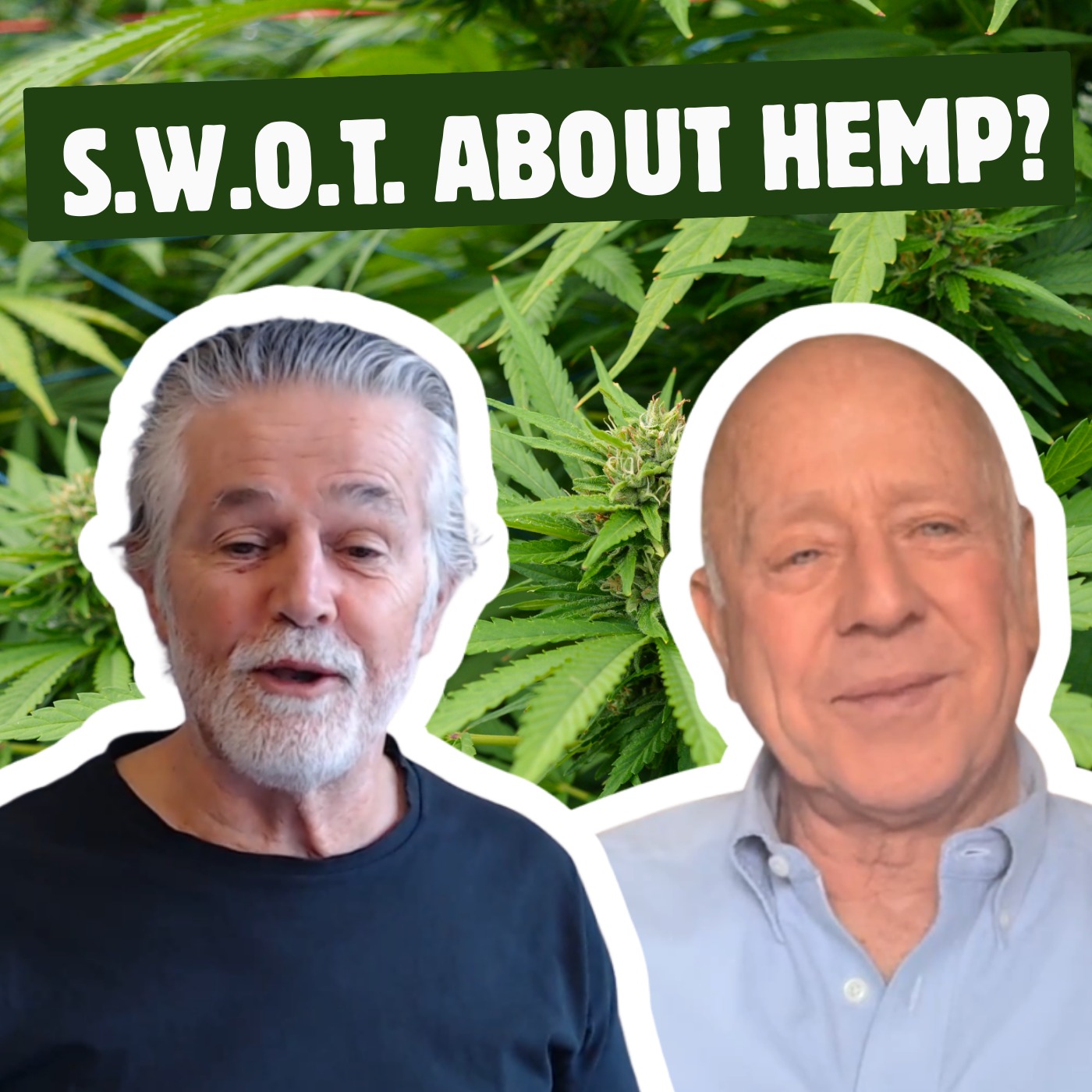 SWOT about Hemp