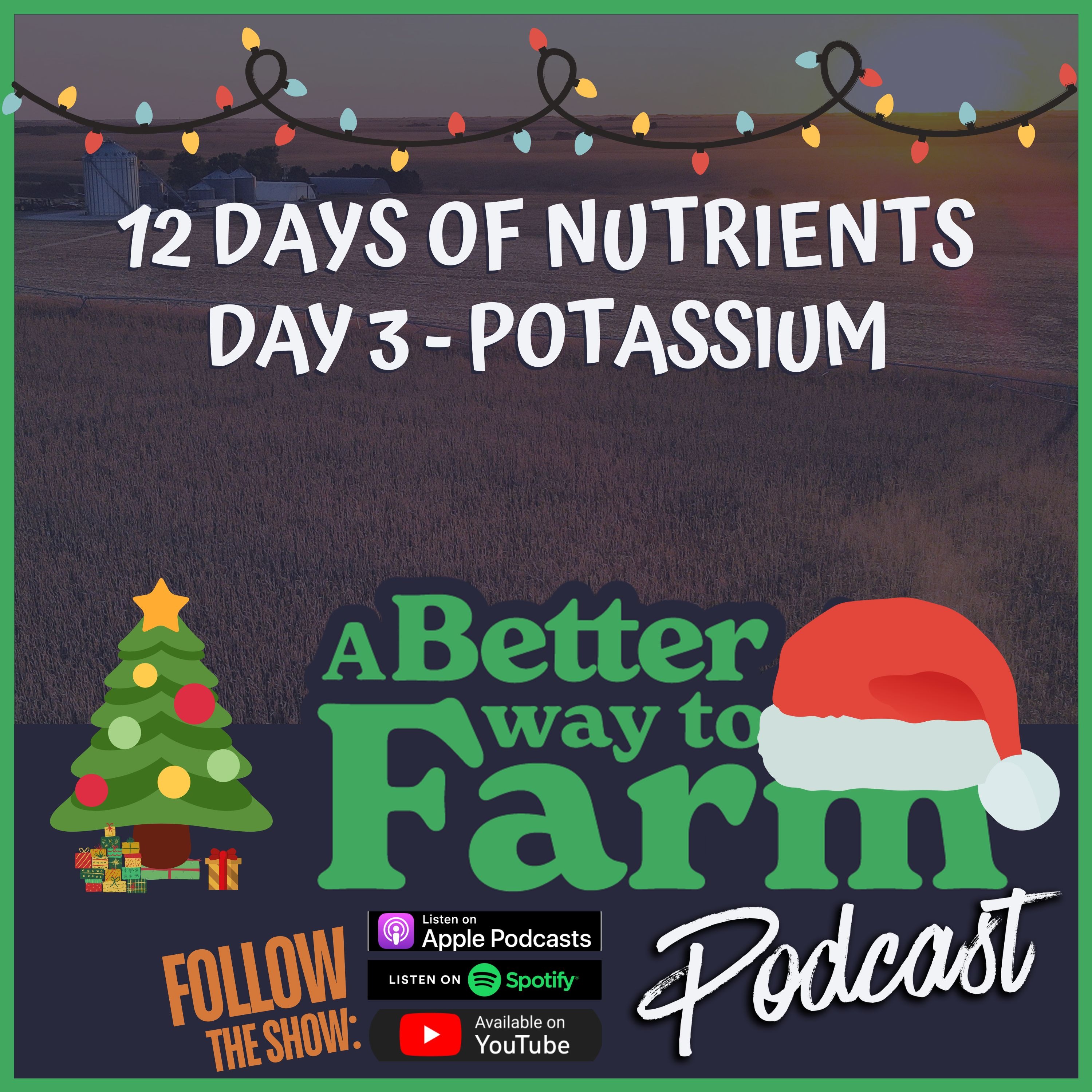 12 Days of Nutrients - Day 3: Potassium