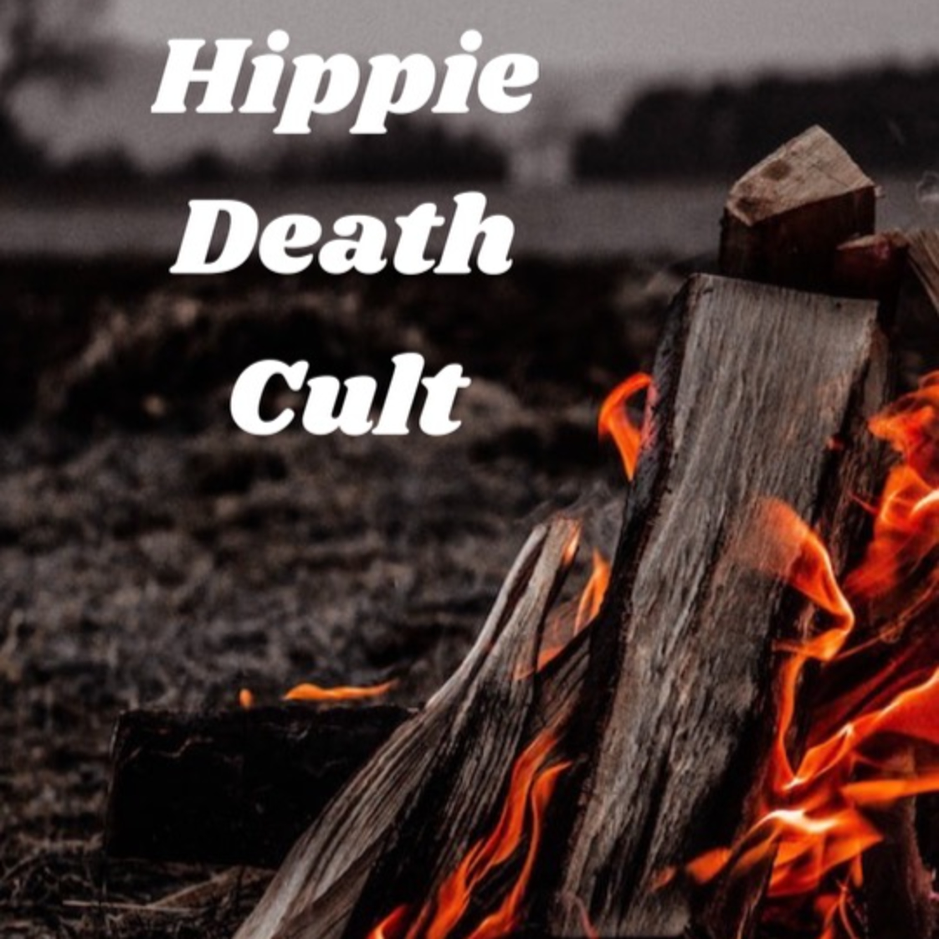 Ep 323 Hippie Death Cults Eddie talks guitars, music and touring. episode artwork