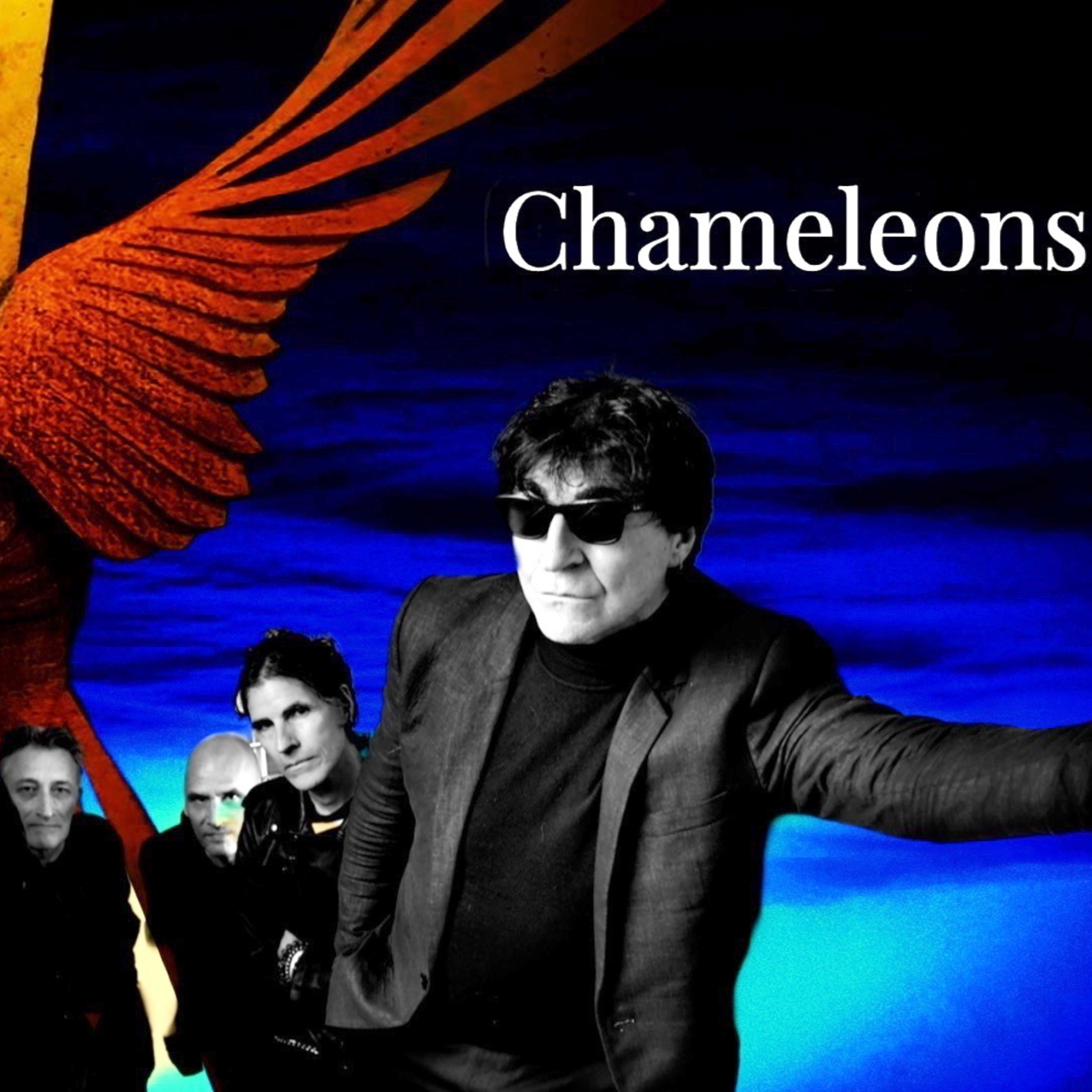 Ep 516 Mark Burgess the Chameleons Remember Tomorrow Yesterday Break down with bonus clips at end! episode artwork