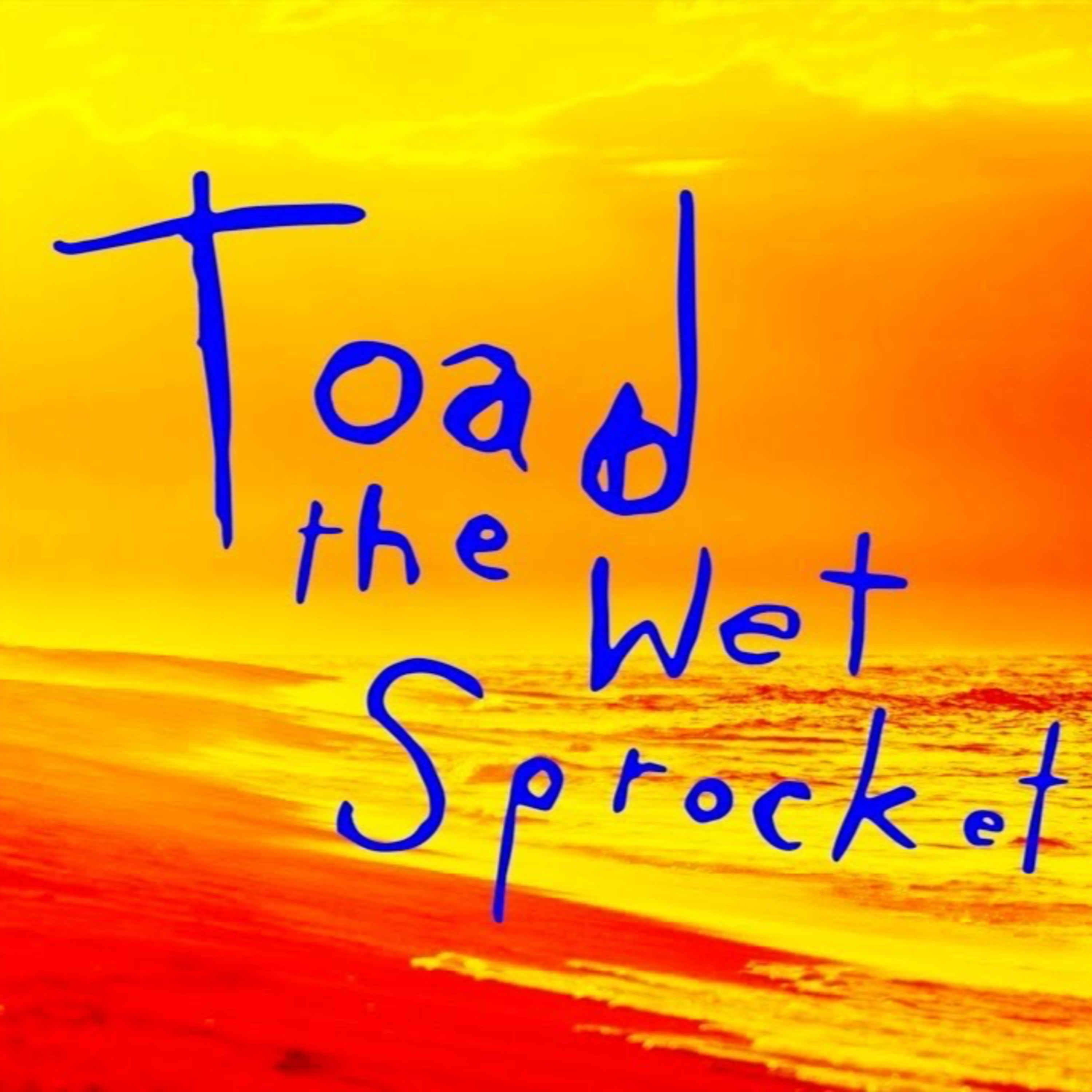 Video - 485 Toad The Wet Sprocket Glen Phillips 2024 tour, new solo & TTWS music! episode artwork