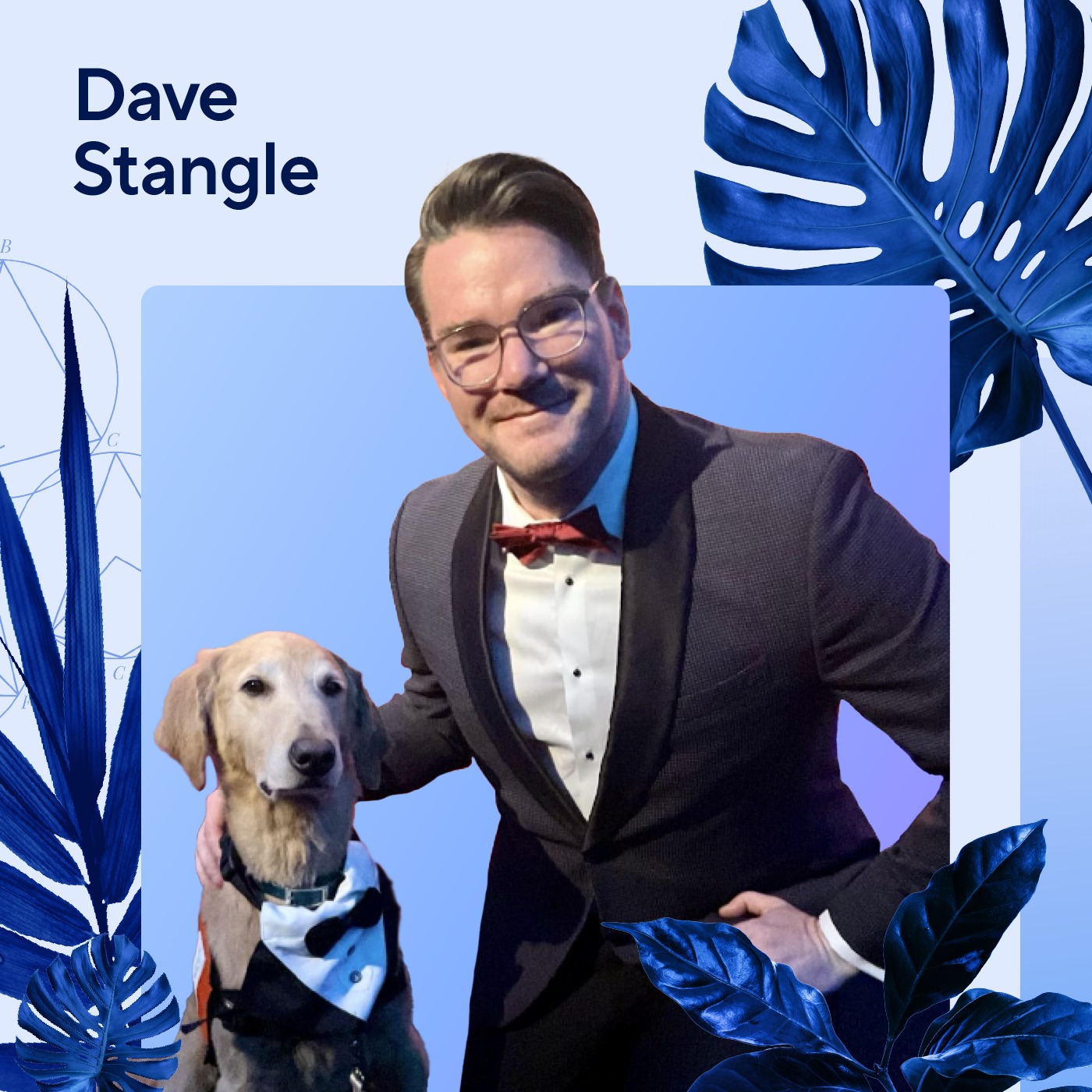 BARK x Dave Stangle: The Power of Knowing Your Audience