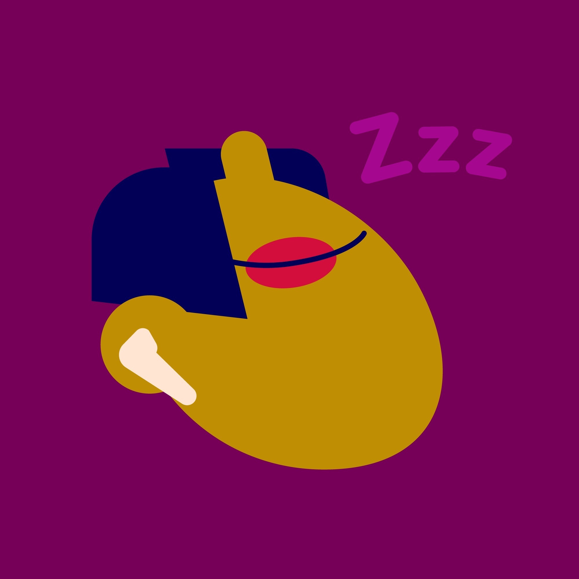 Slaapkoppen