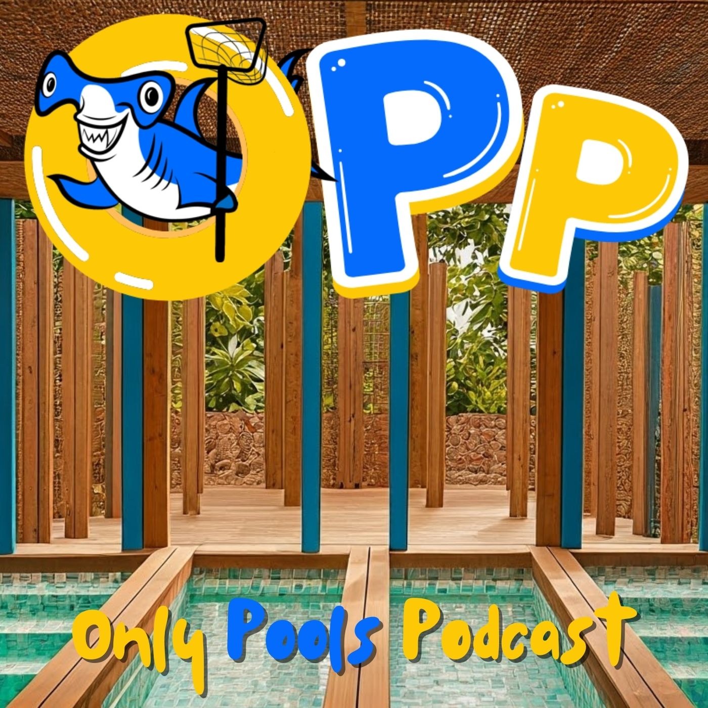 New Pool? Here's What You Need!
