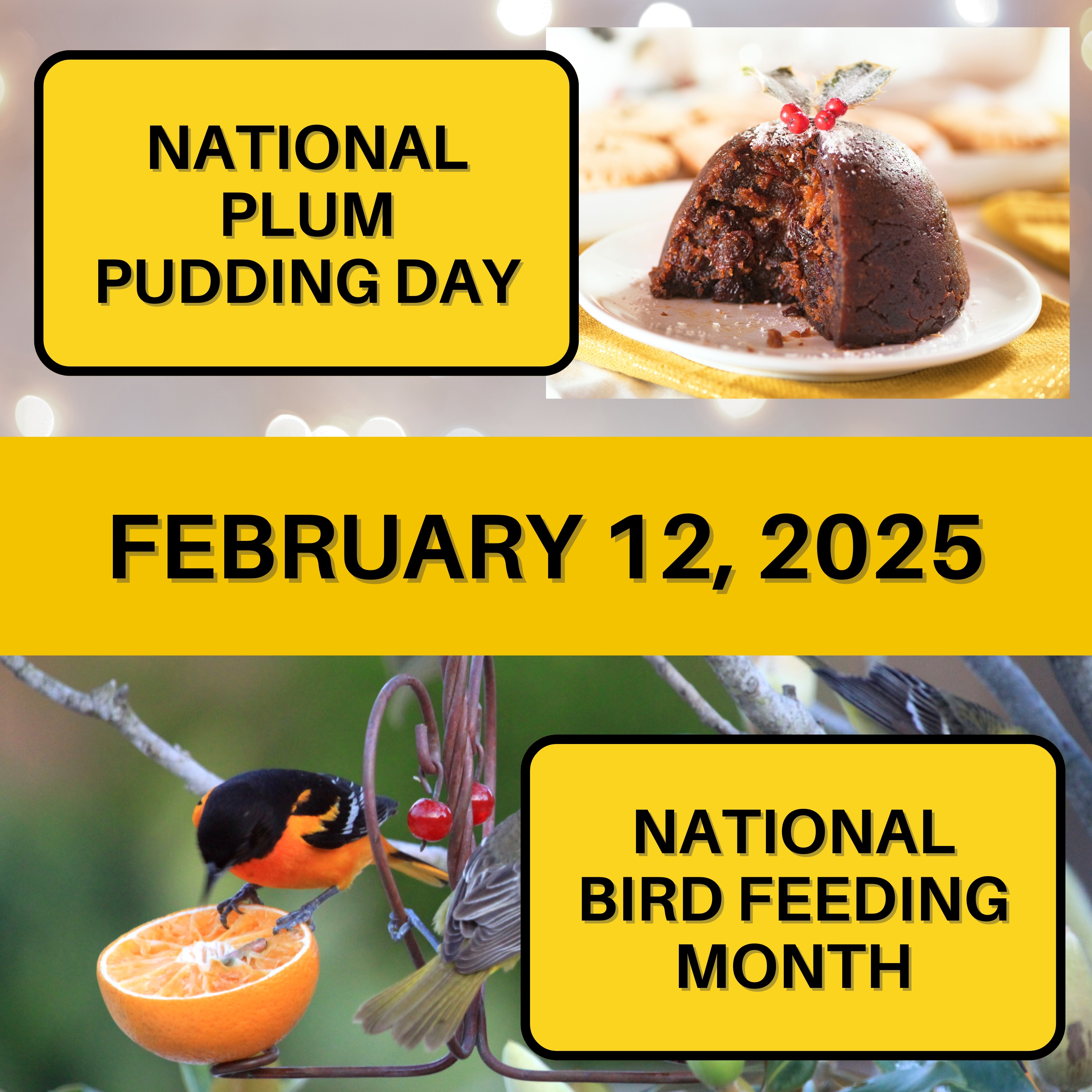 National Plum Pudding Day & National Bird Feeding Month
