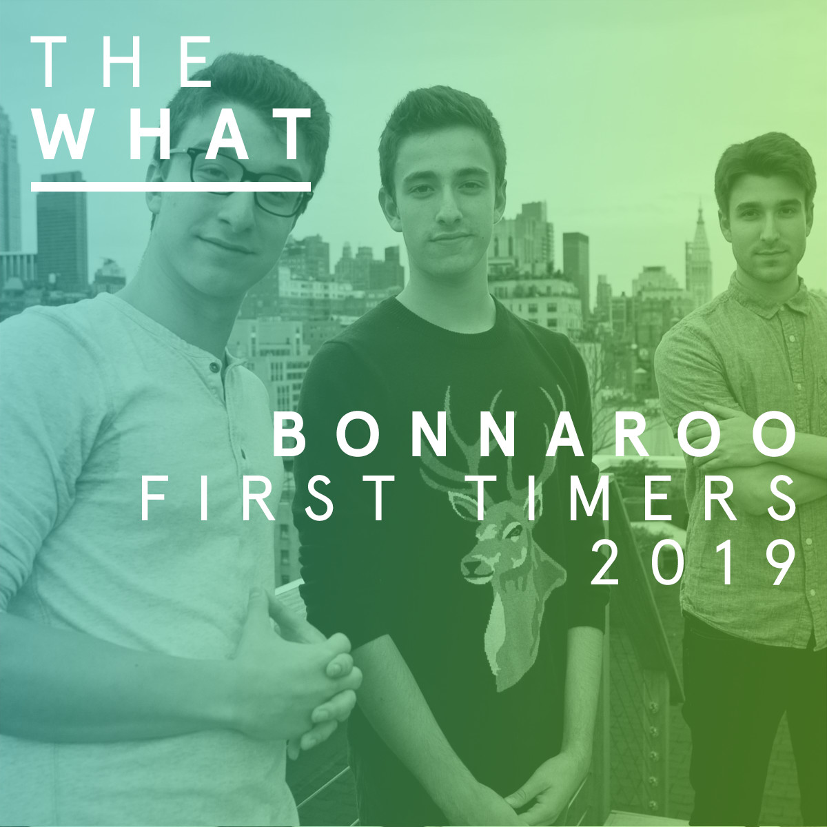 Bonnaroo First Timers 2019