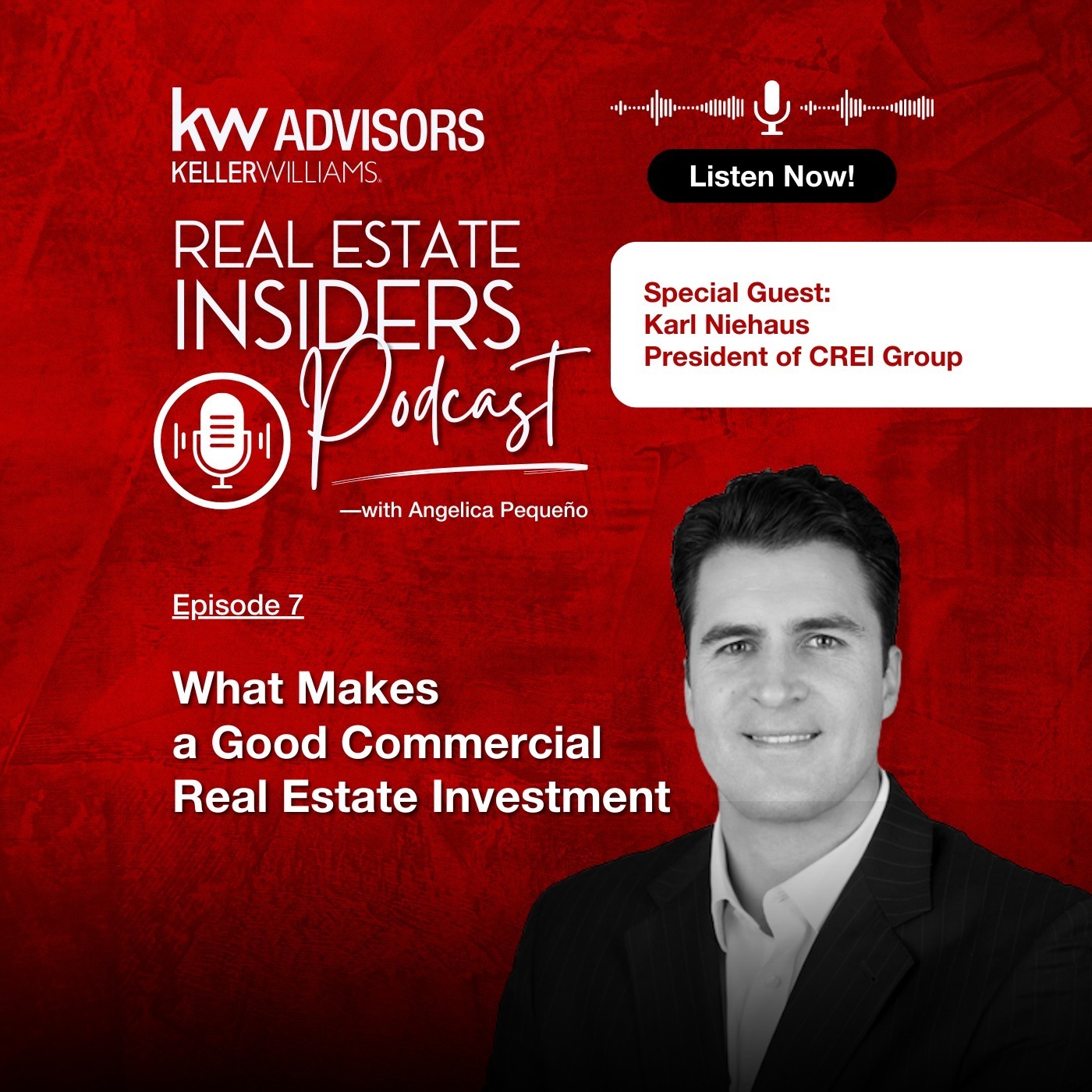 Ep 7: Karl Niehaus, President of CREI Group: What Makes A Good Commercial Real Estate Investment episode artwork