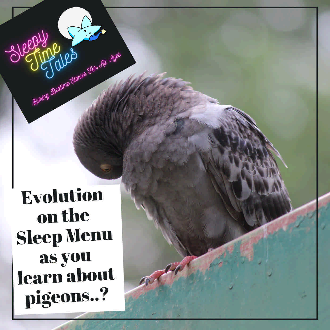 Evolution Continues as your Get a Good Night’s Sleep