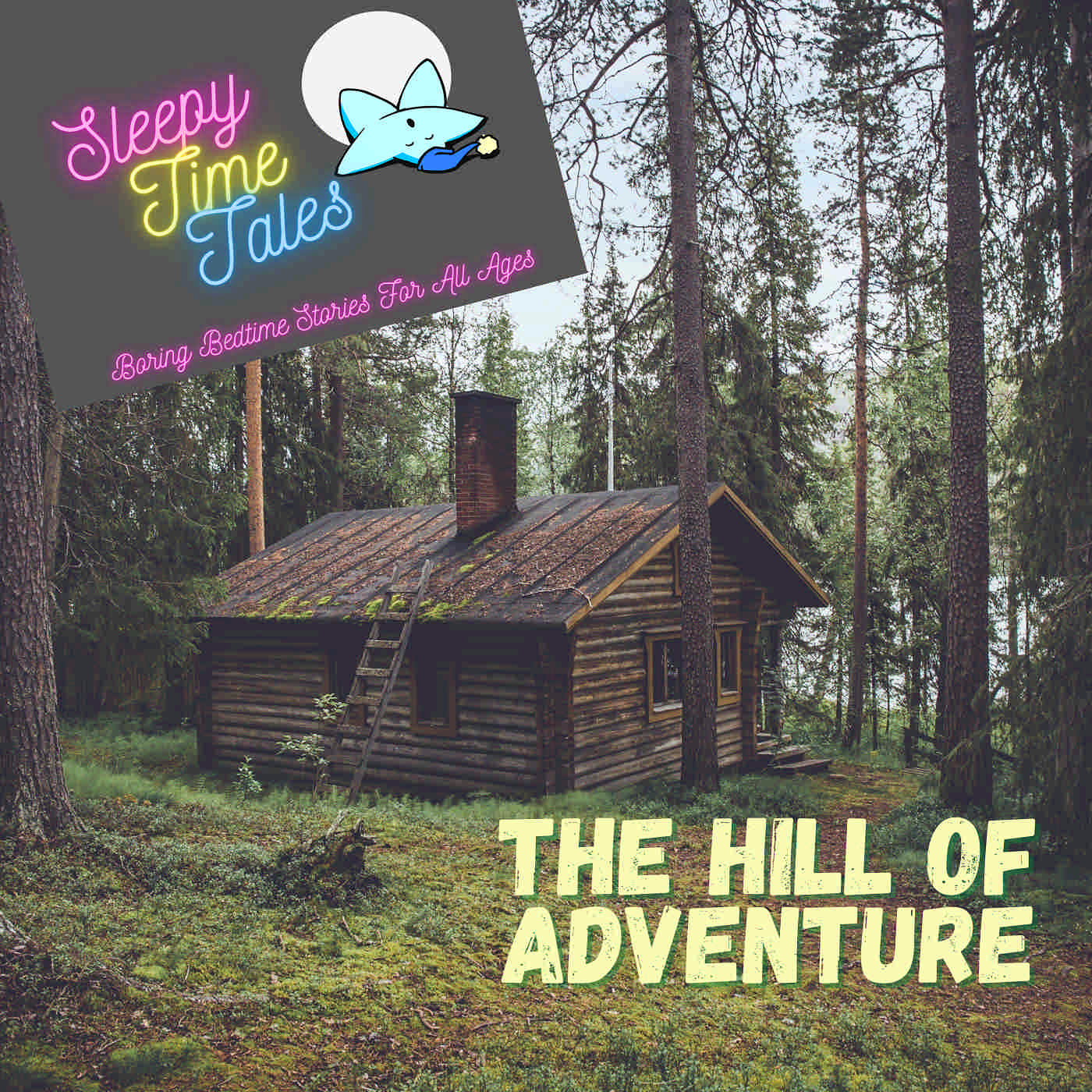 Sleepy Time Tales - Bedtime Stories for Sleep and Relaxation