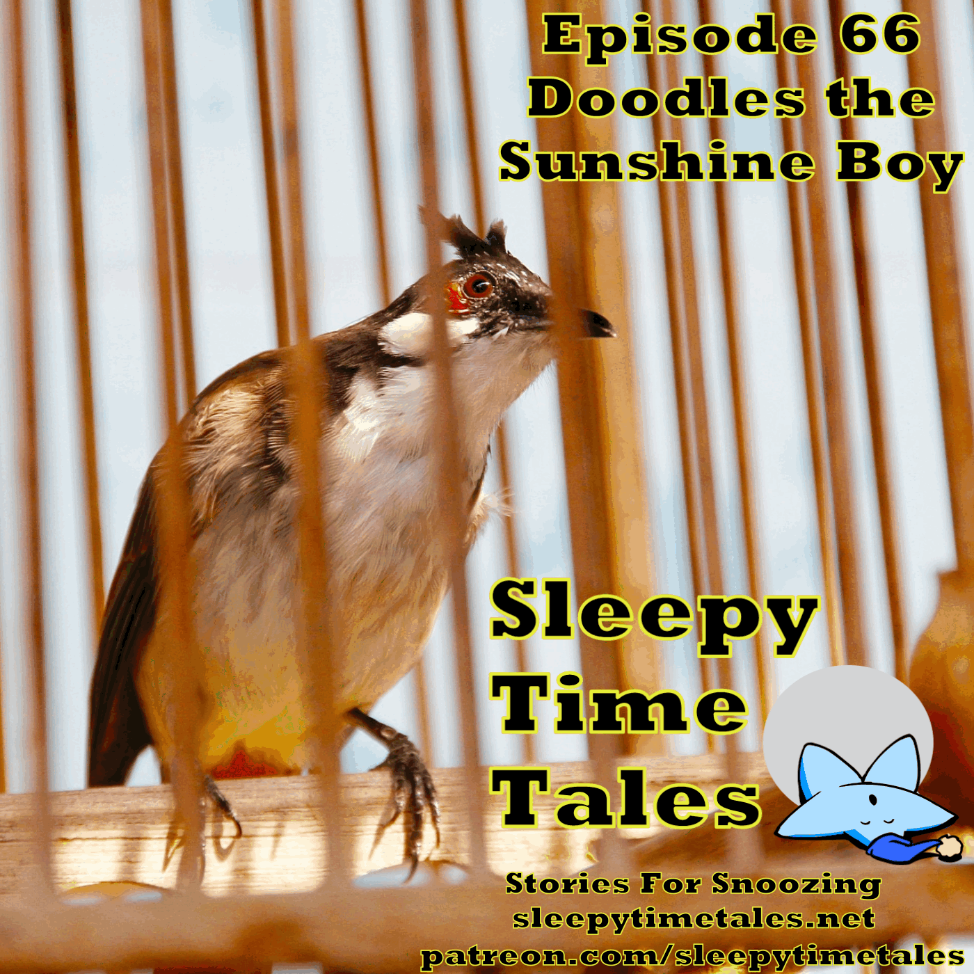 066 – Doodles The Sunshine Boy – A Bedtime Story