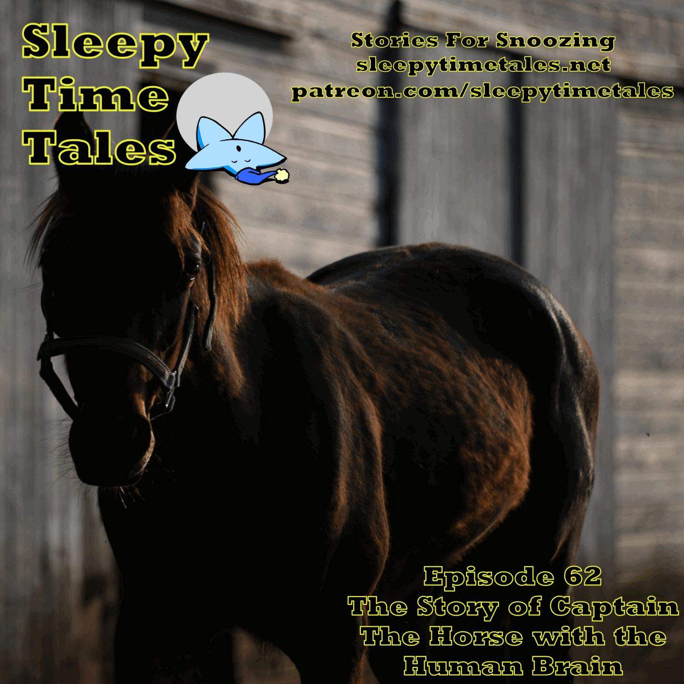 Sleepy Time Tales - Bedtime Stories for Sleep and Relaxation