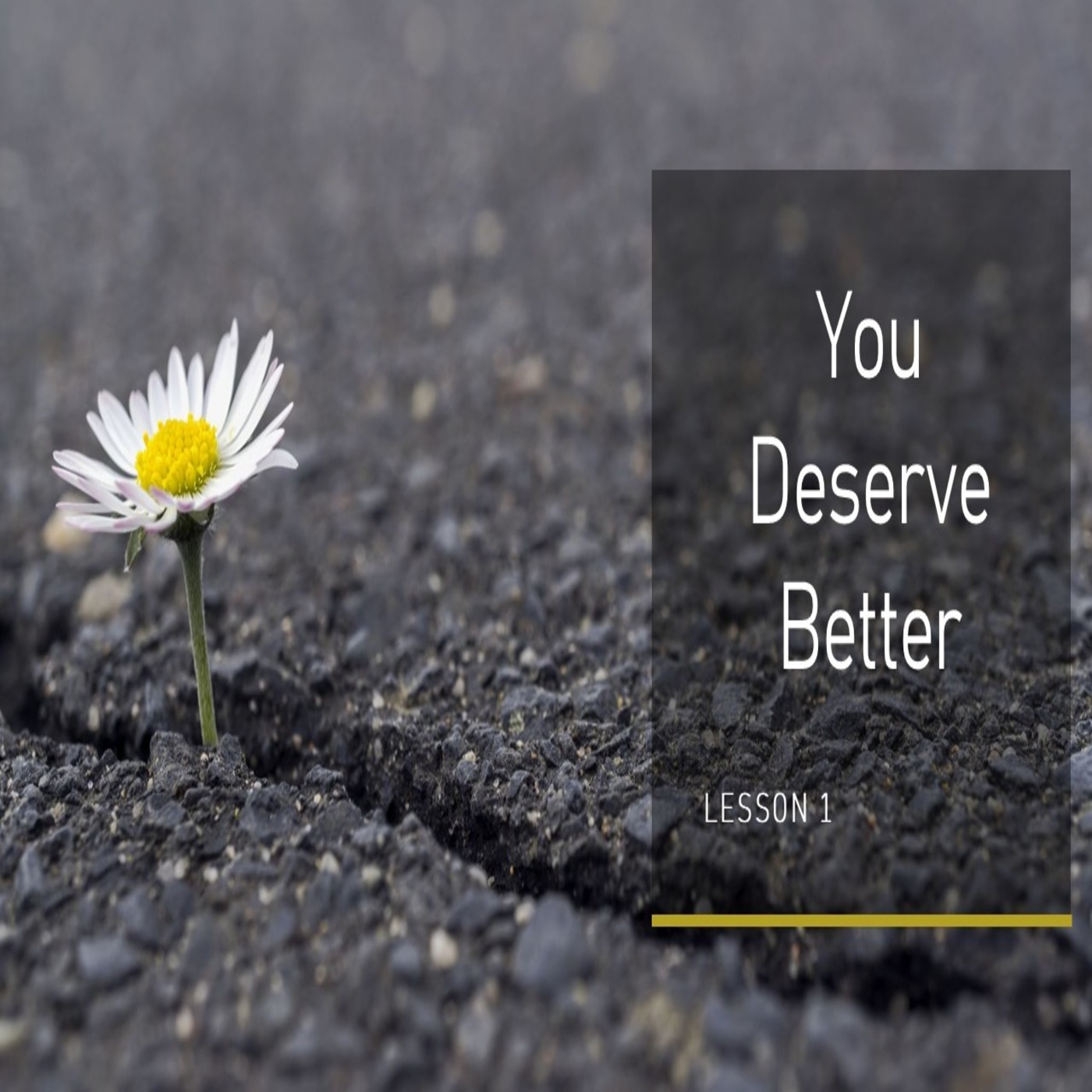 You Deserve Better Lesson 1