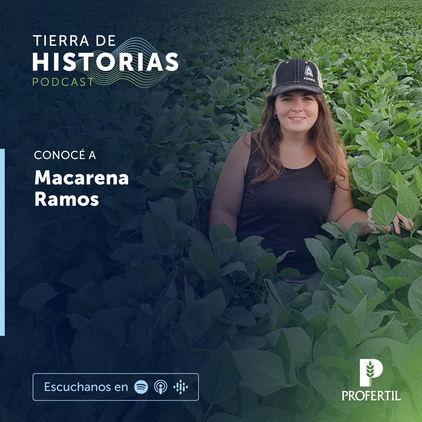 Tierra de Historias
