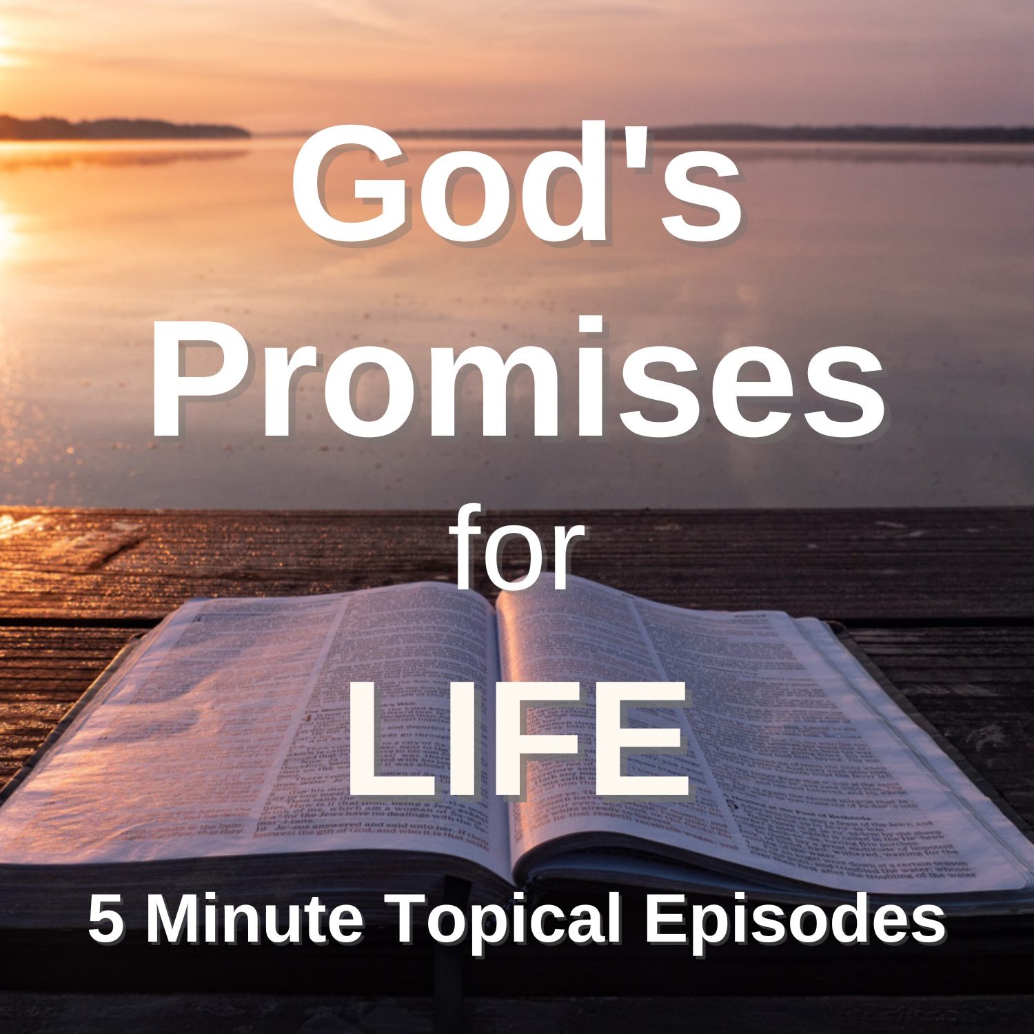 Important Bible Topics for Everyday Life cover art