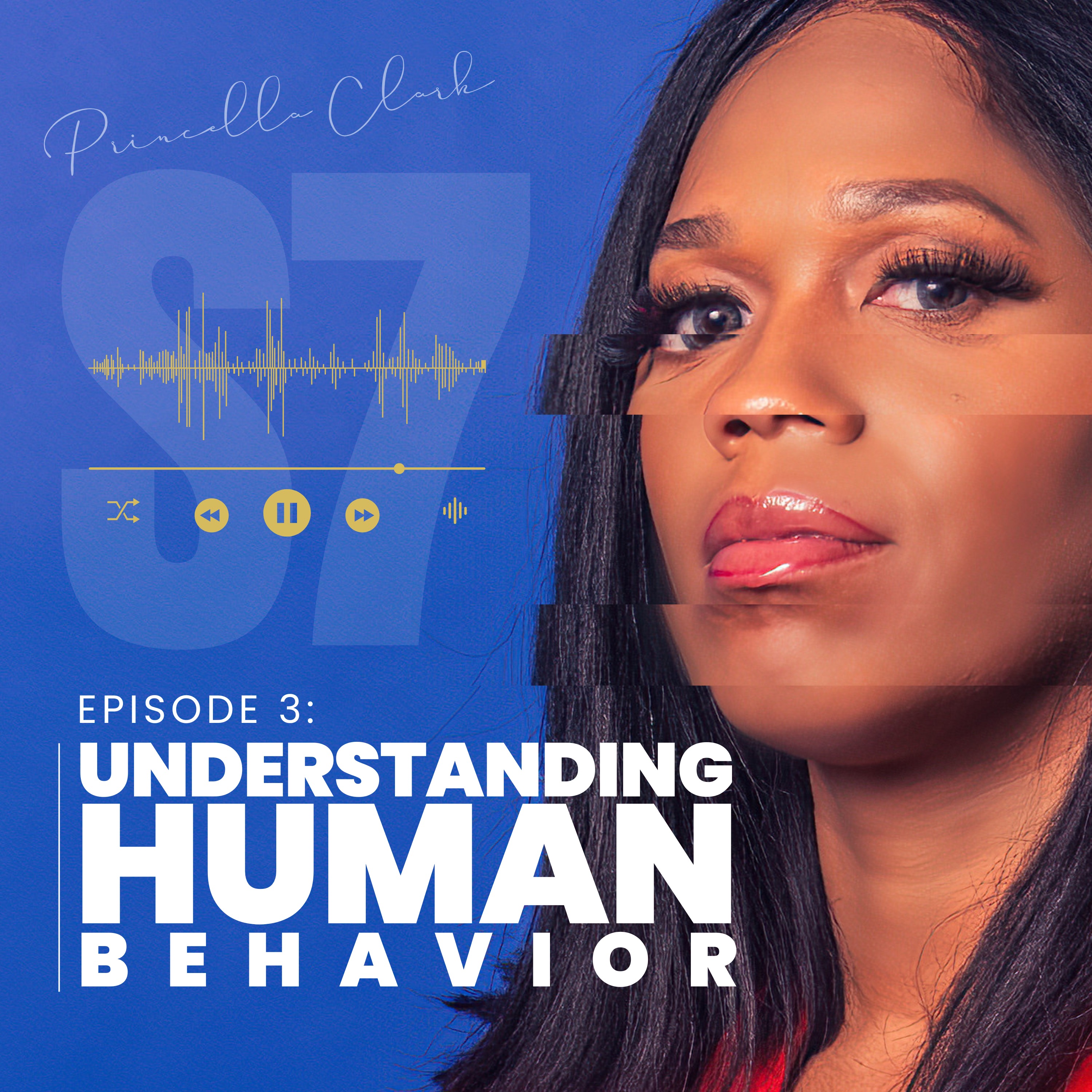 S7.Episode 3 - The Observer: Understanding Human Behavior episode artwork