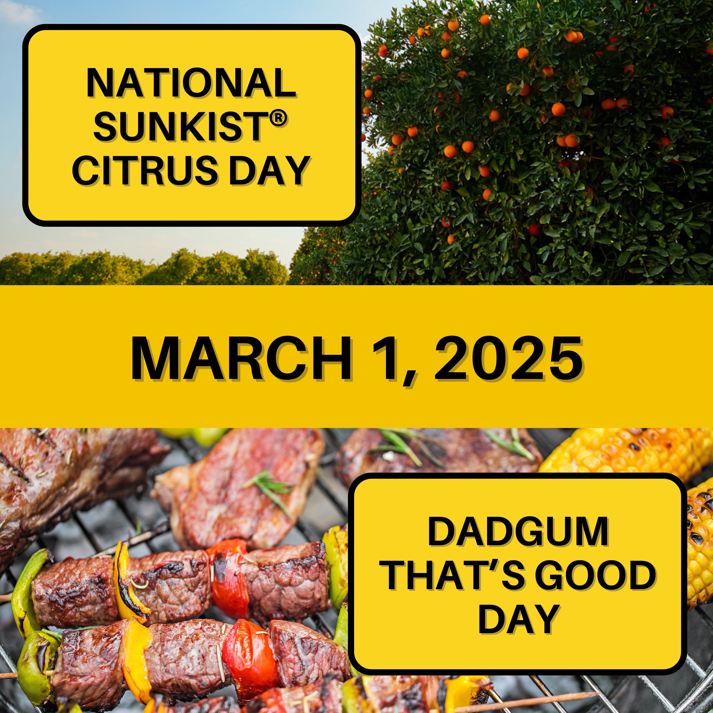 National Sunkist Citrus Day & Dadgum That's Good Day