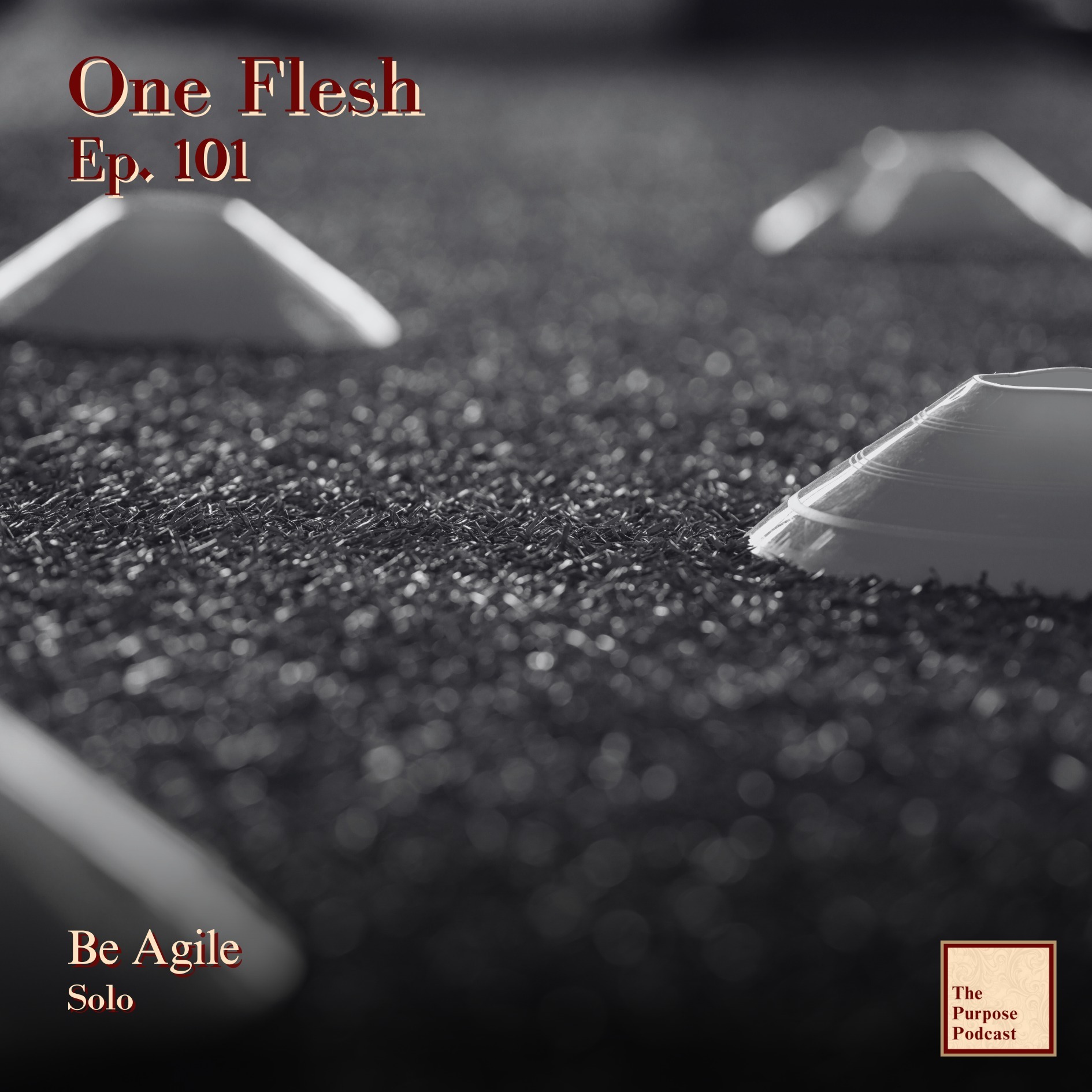 One Flesh Ep. 101 - Be Agile | Solo episode artwork