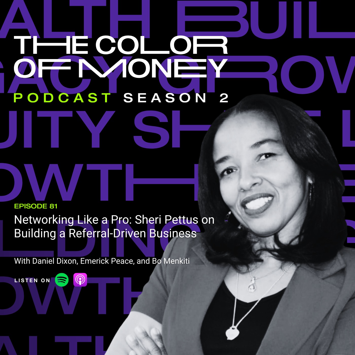 81. Networking Like a Pro: Sheri Pettus on Building a Referral-Driven Business episode artwork